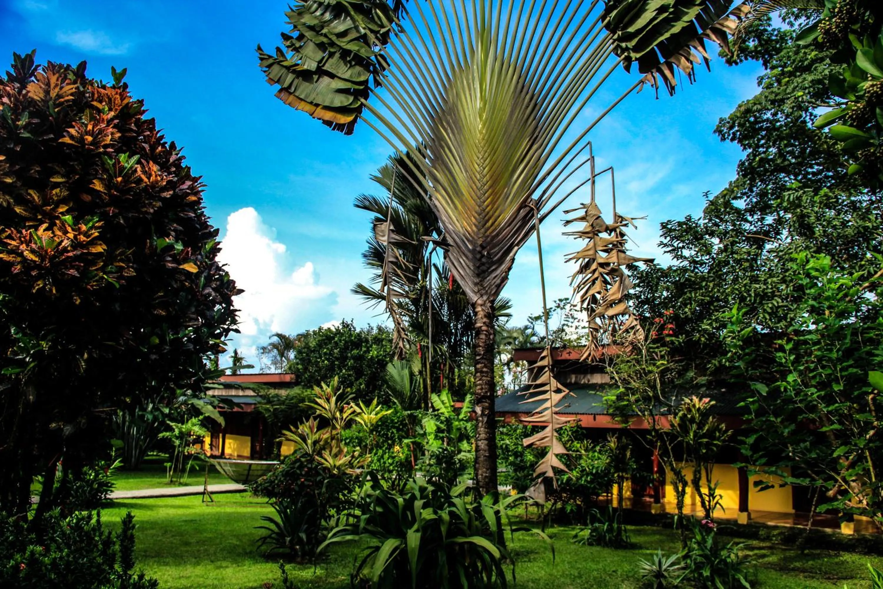 View (from property/room) in Catarata Eco Lodge