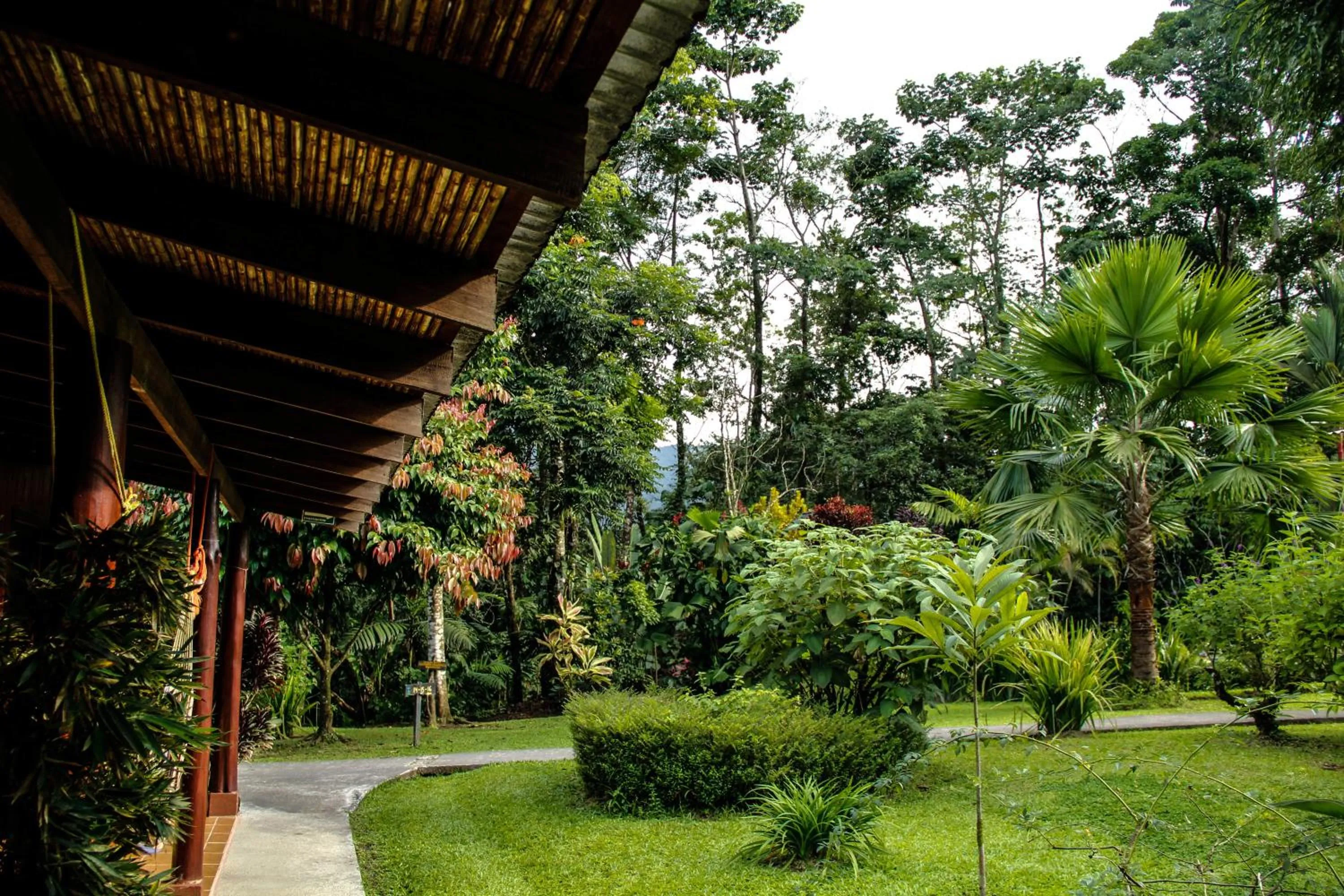 Balcony/Terrace in Catarata Eco Lodge