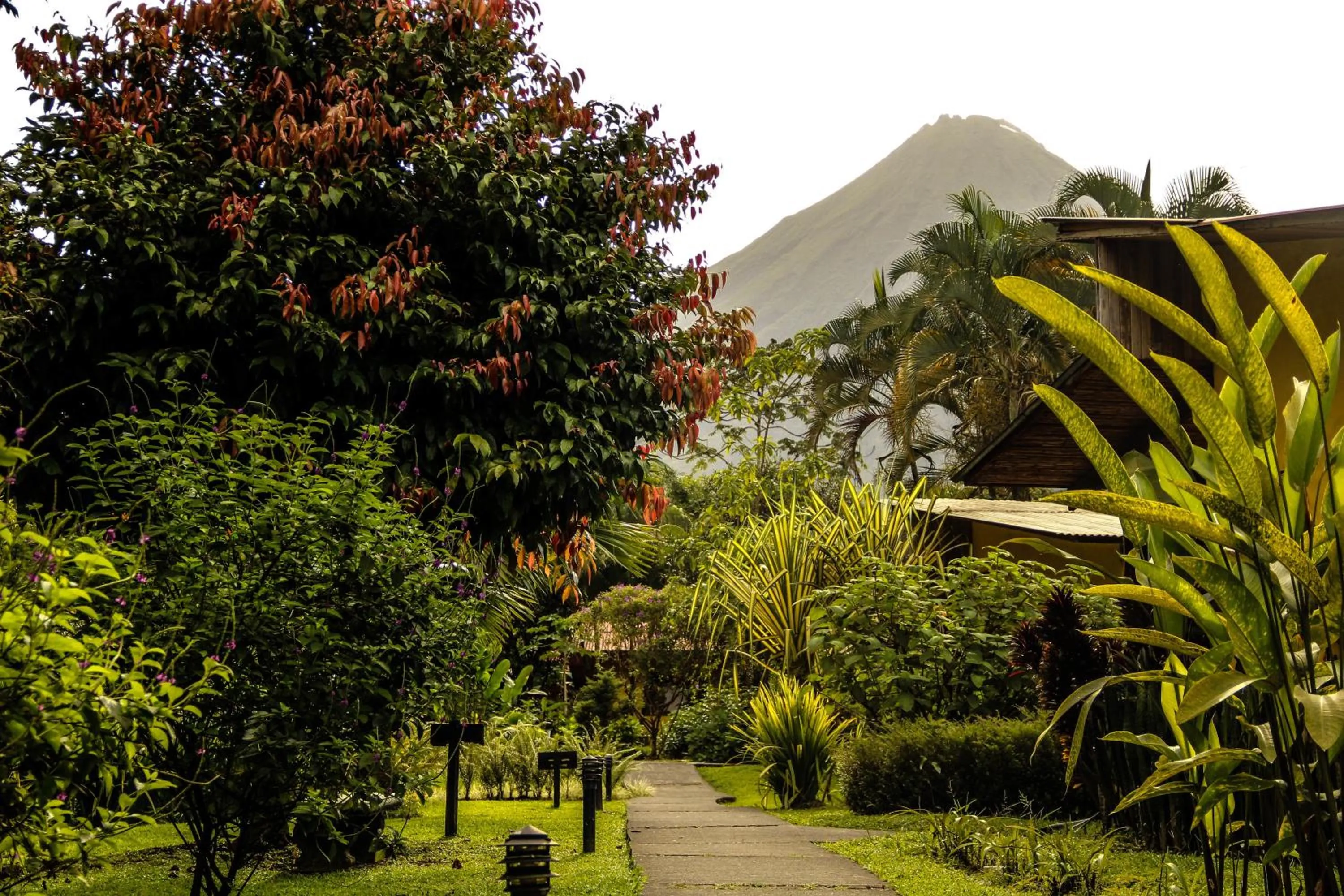 View (from property/room) in Catarata Eco Lodge