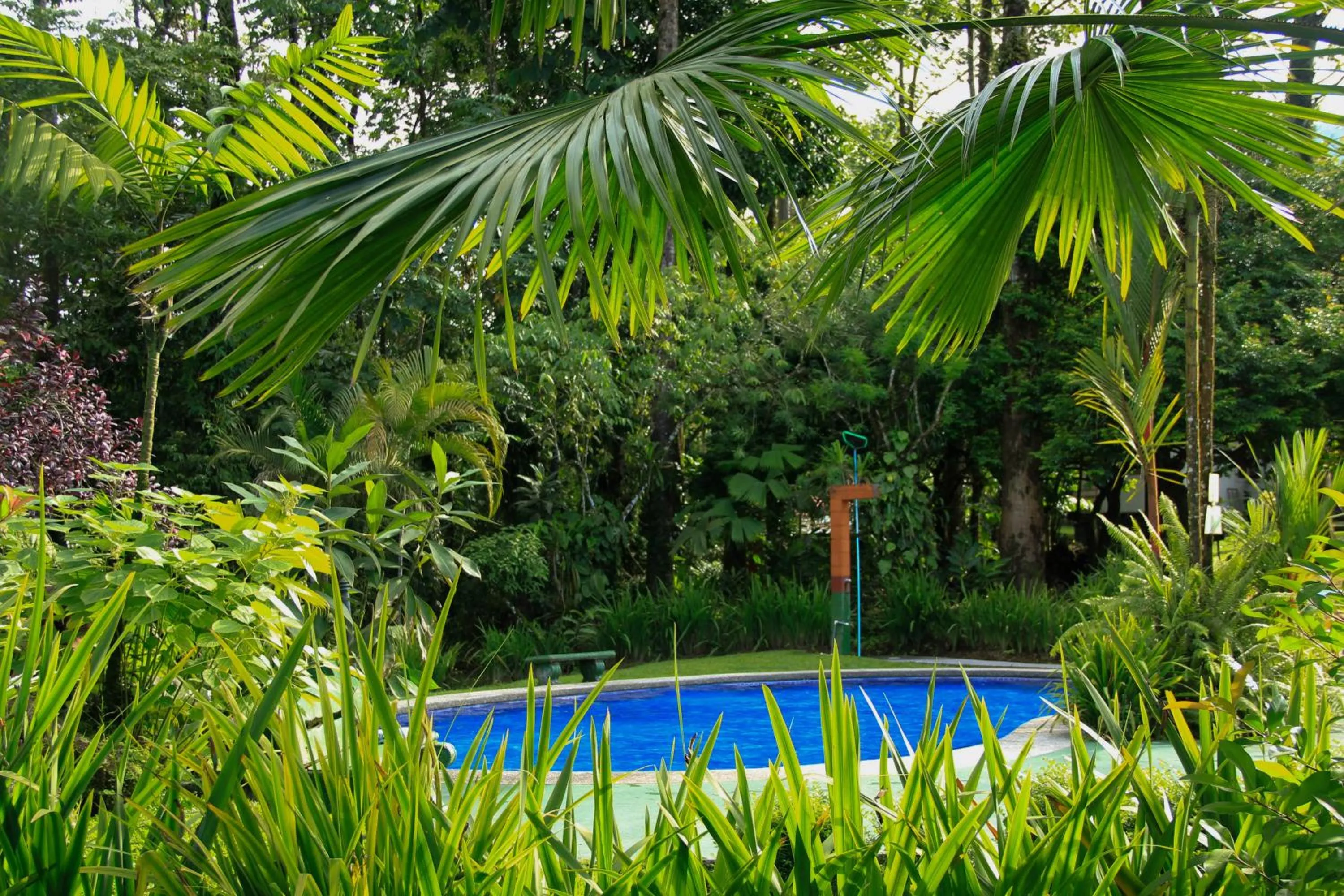 Swimming pool in Catarata Eco Lodge
