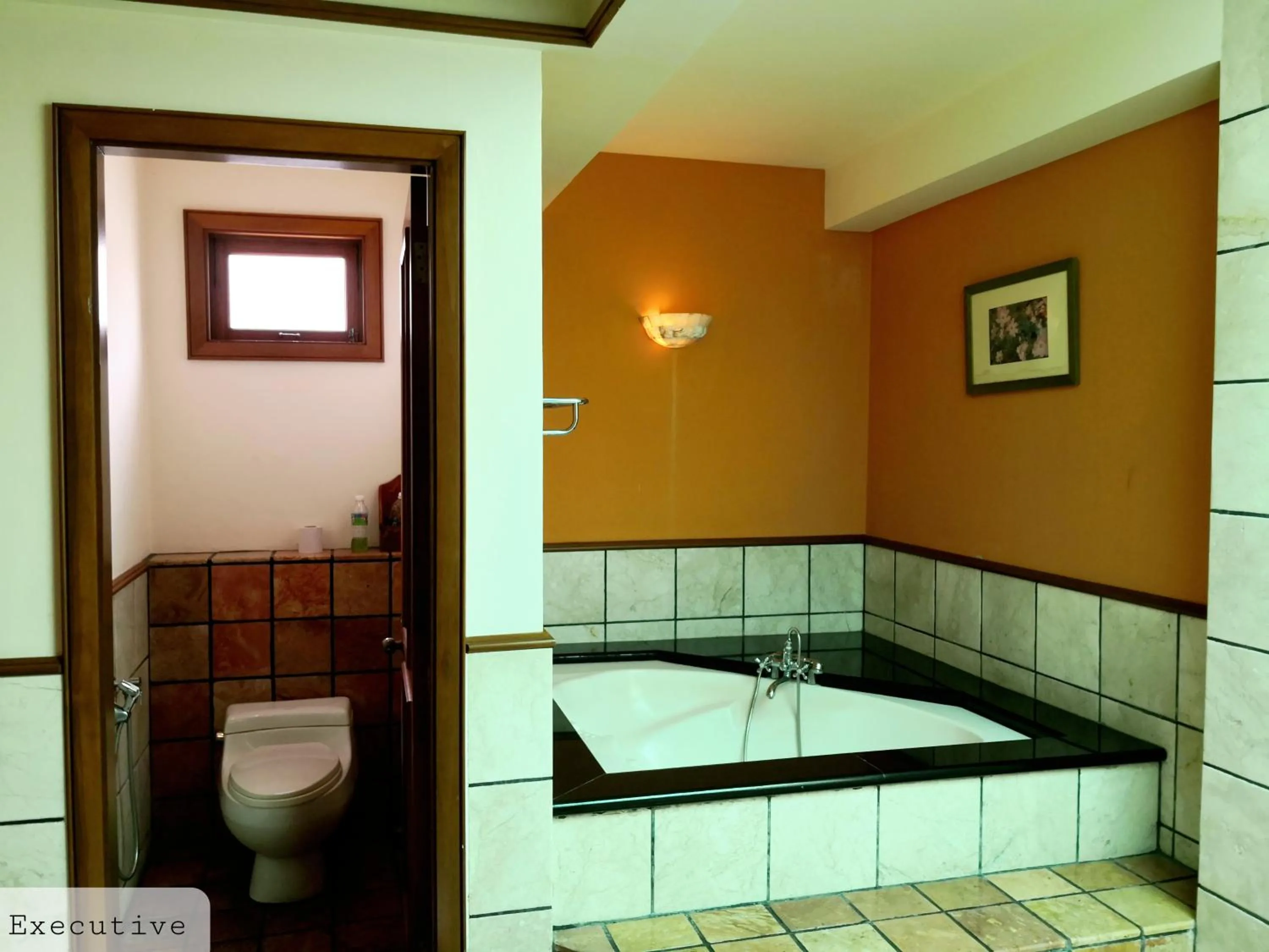 Alpine LXPD Water Chalet