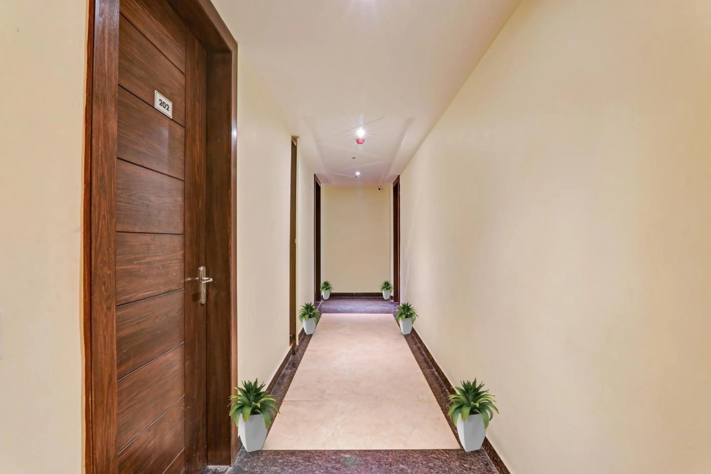 Other in Townhouse Hotel Spotlight