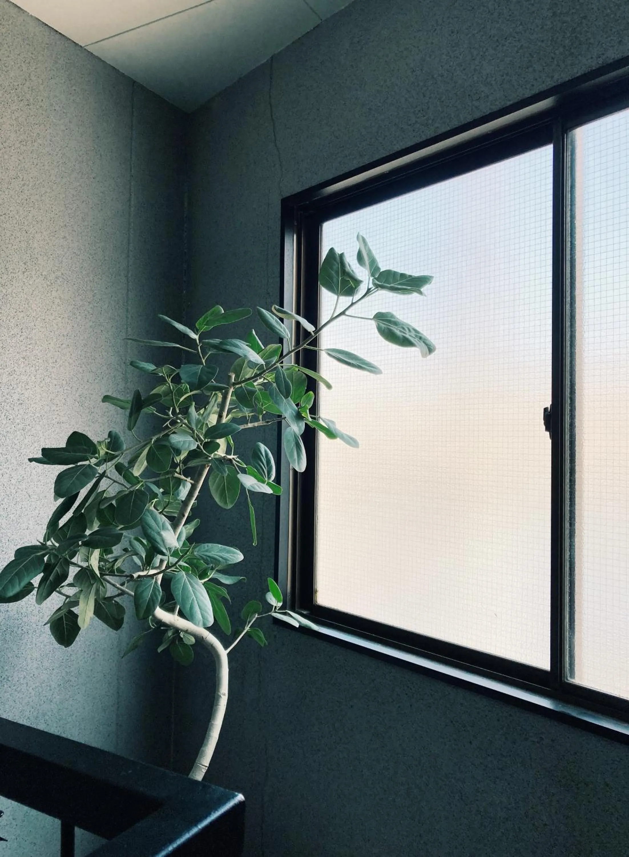 View (from property/room) in SLEEEP Fuji