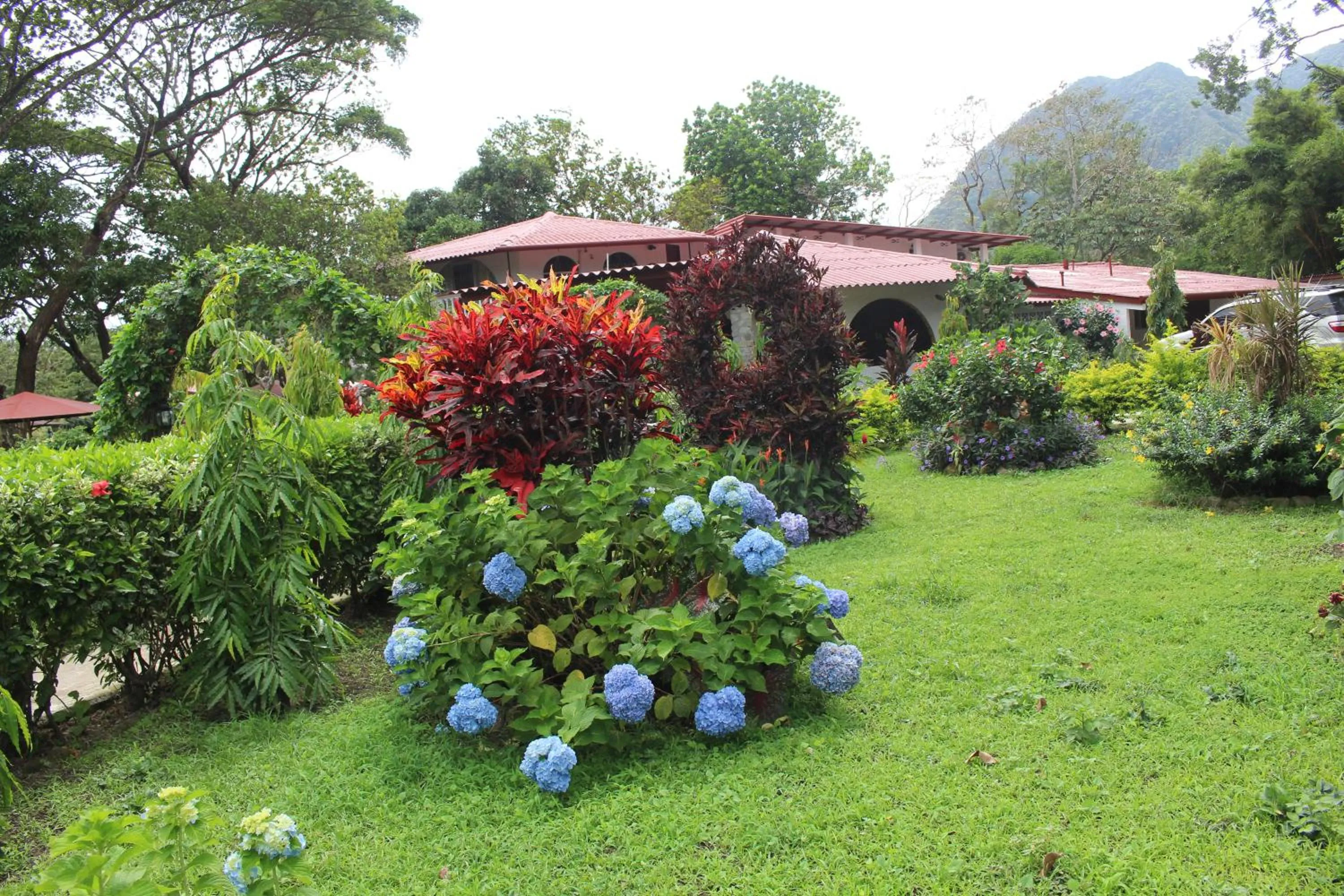 Garden in Hotel Valle Verde