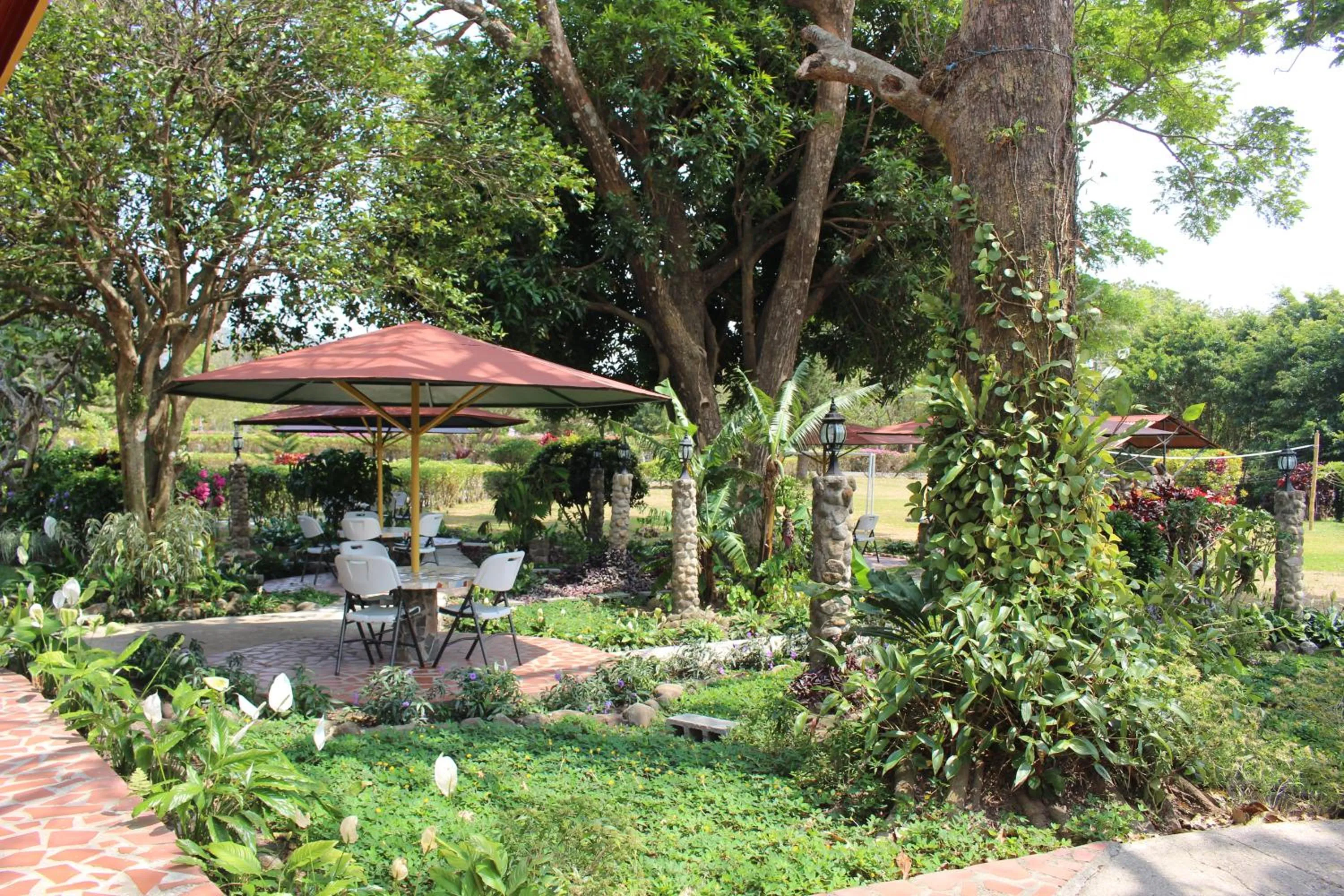 Garden in Hotel Valle Verde