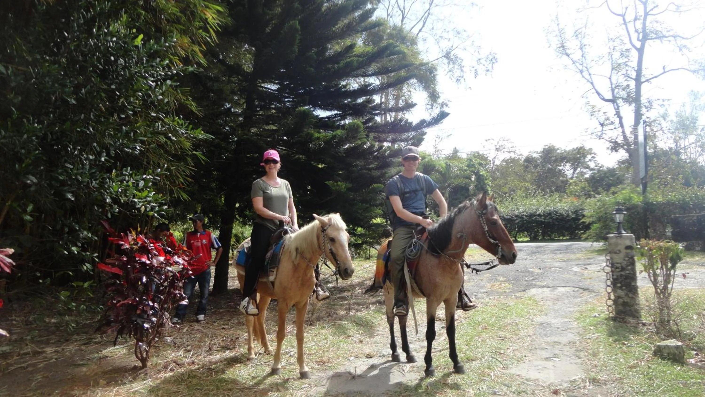 Activities in Hotel Valle Verde