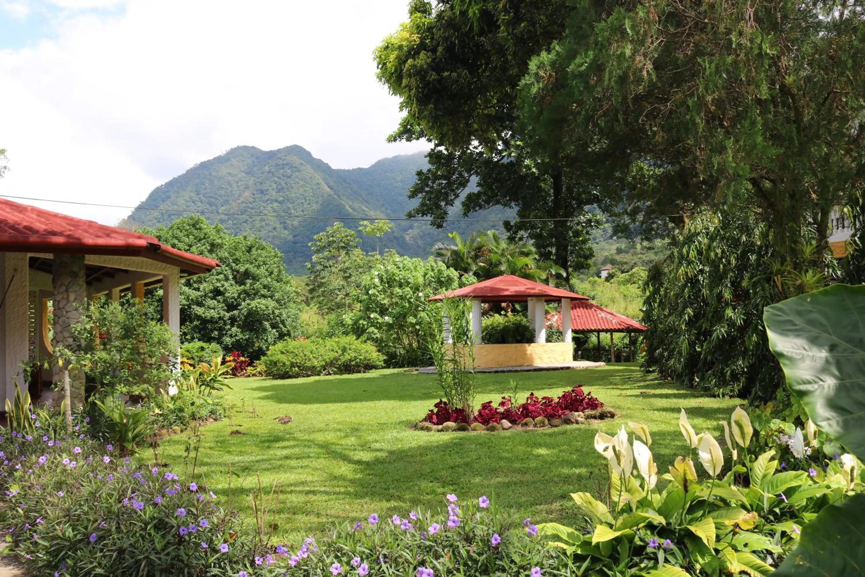 Garden in Hotel Valle Verde