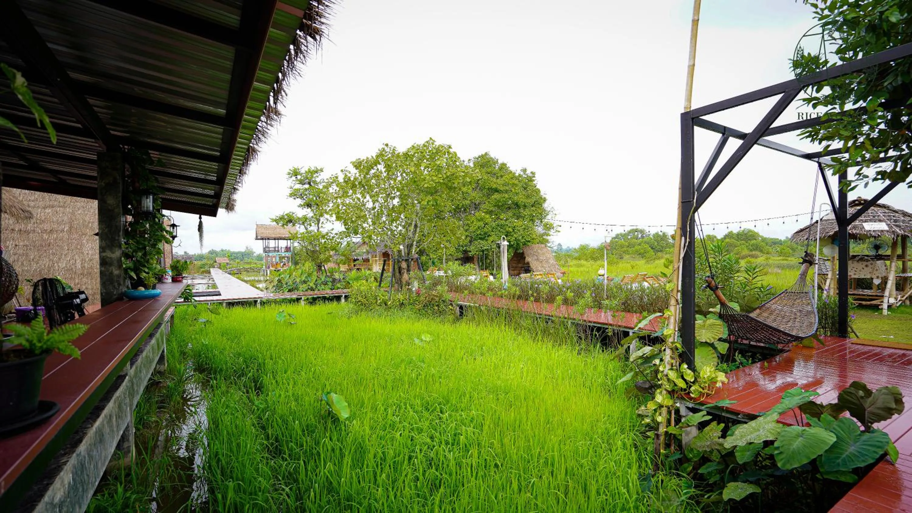 Garden in Rice Wonder Cafe & Eco Resort