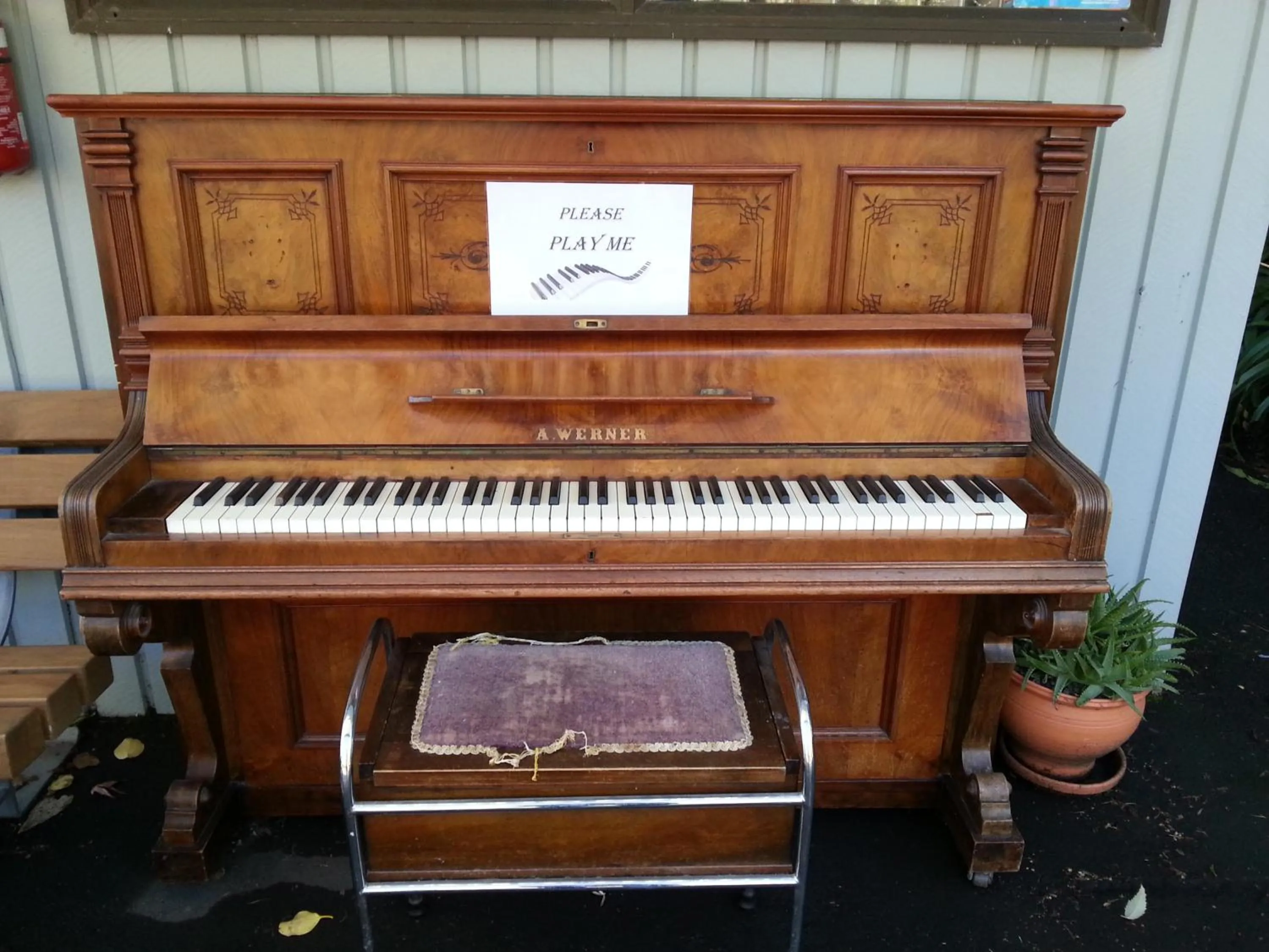 Entertainment in Akaroa Waterfront Motels