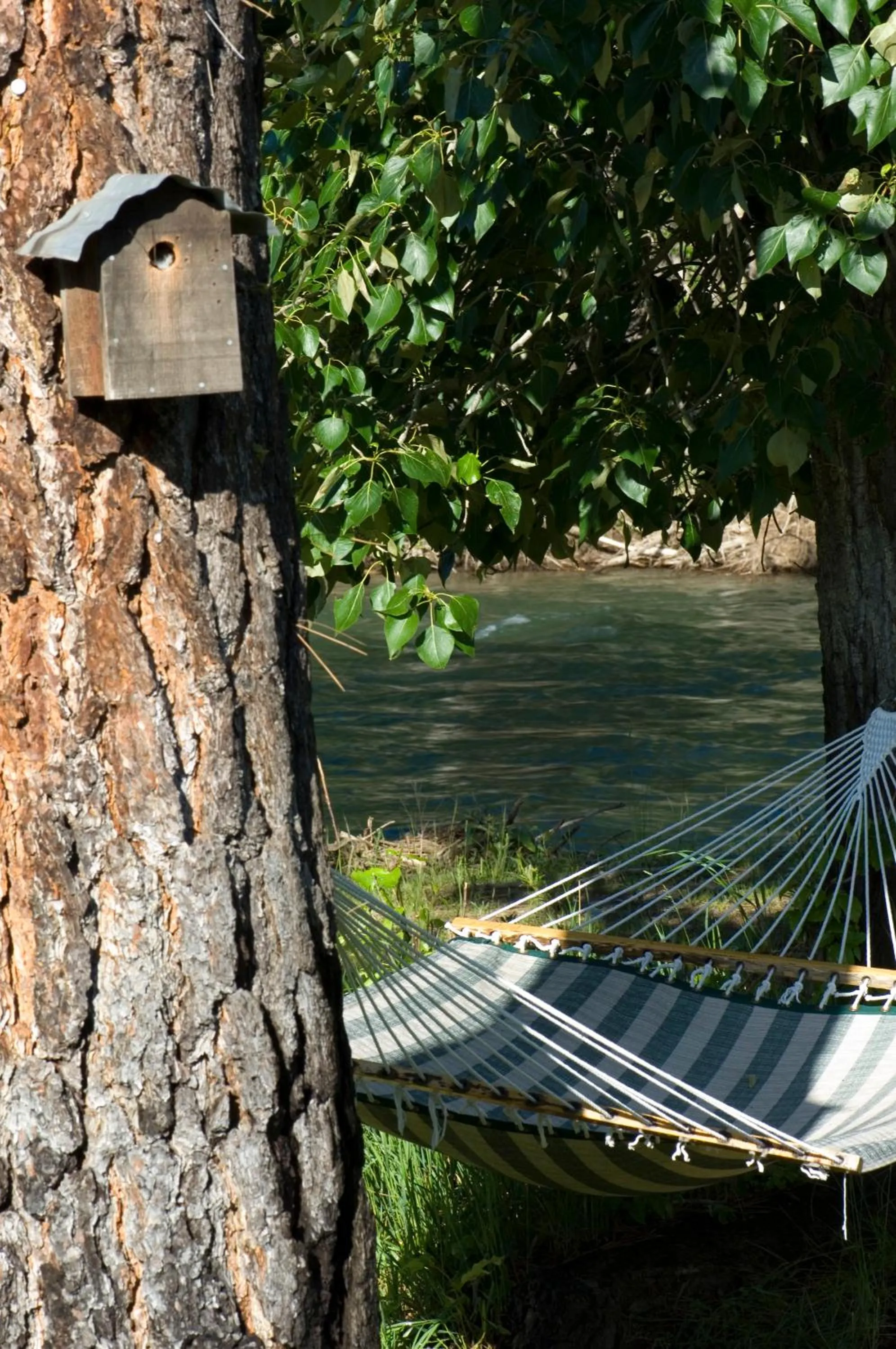 River view in River Run Inn