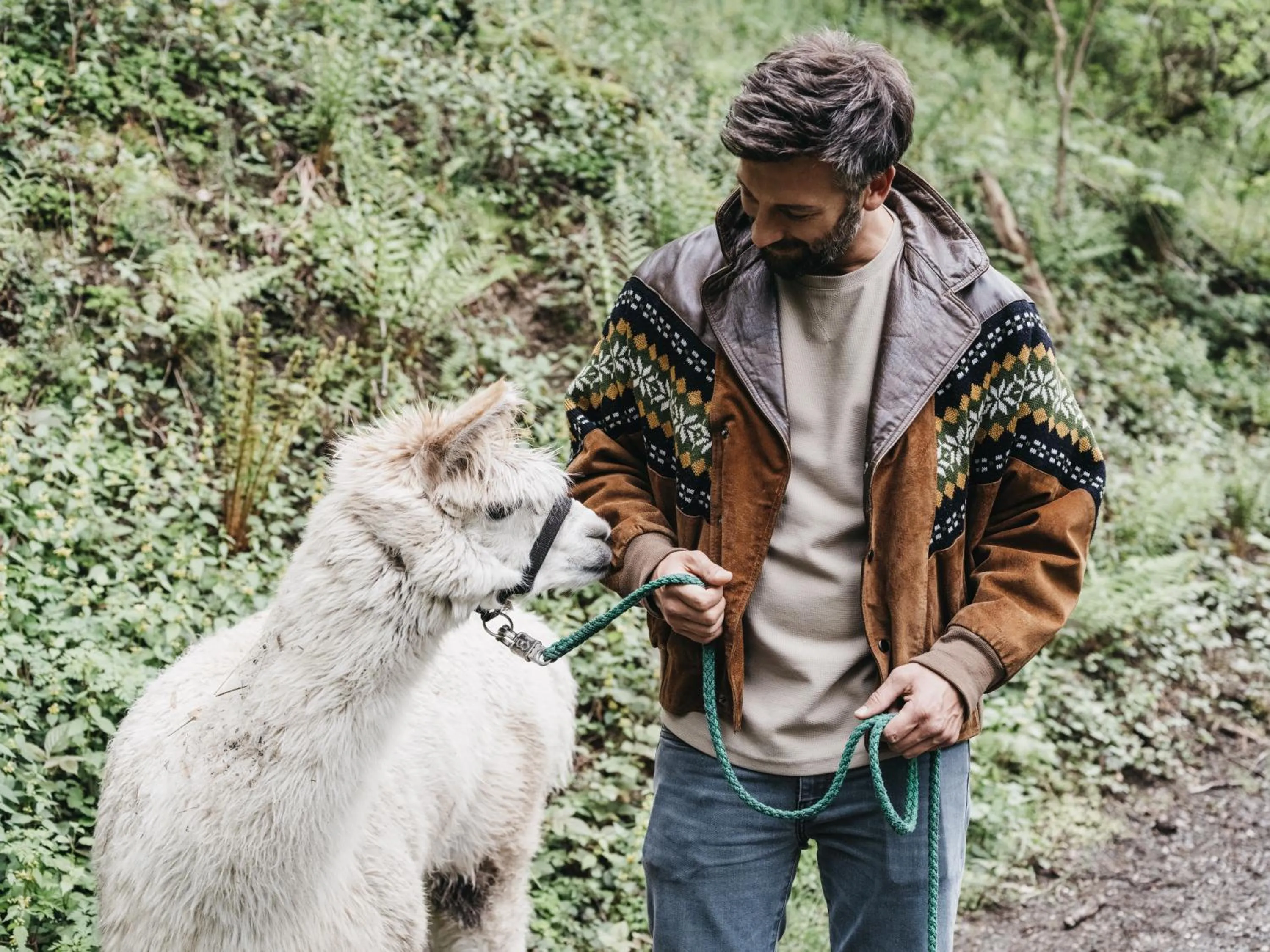 Animals in Haven Mountain Retreat