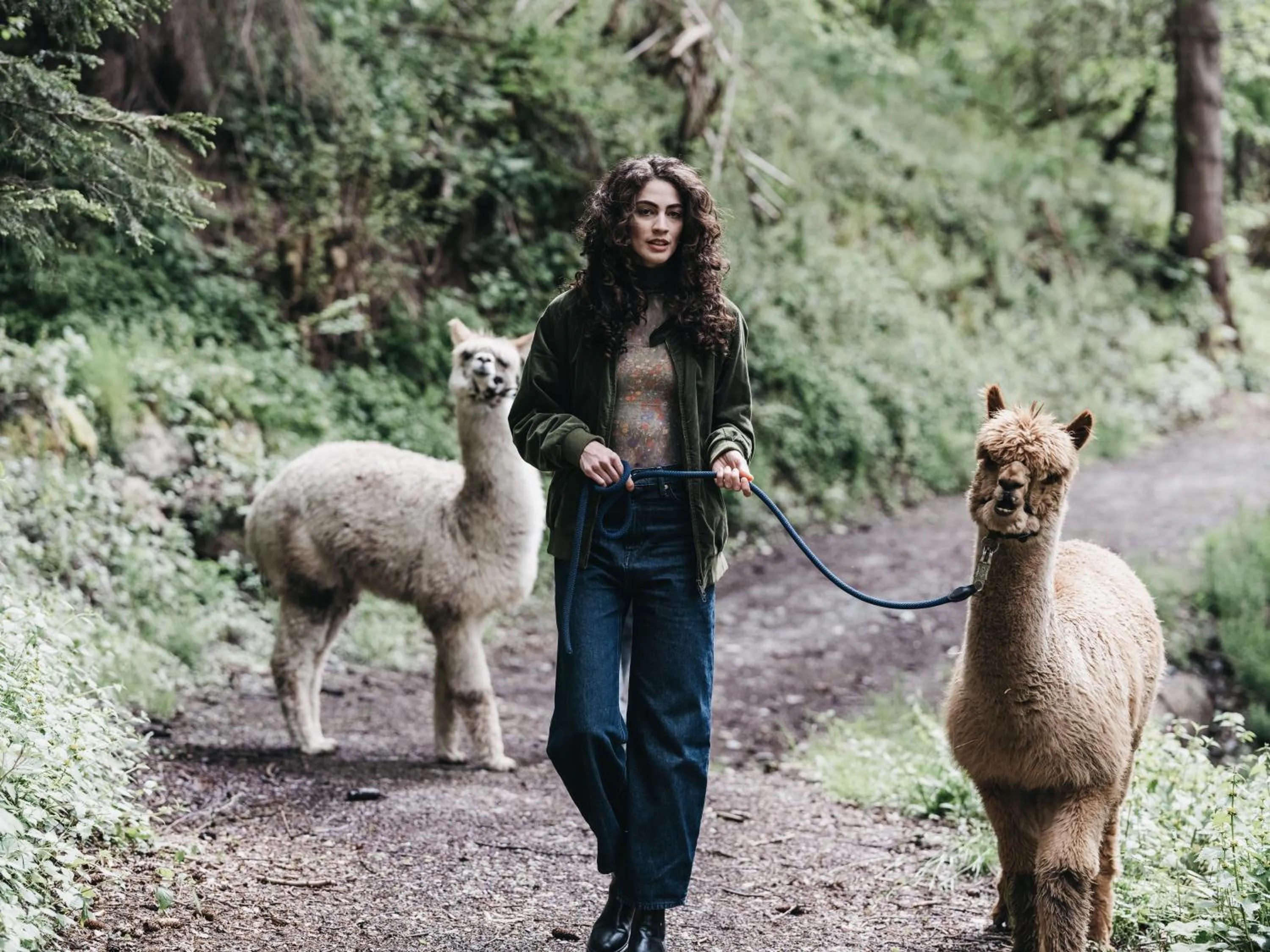 Animals in Haven Mountain Retreat