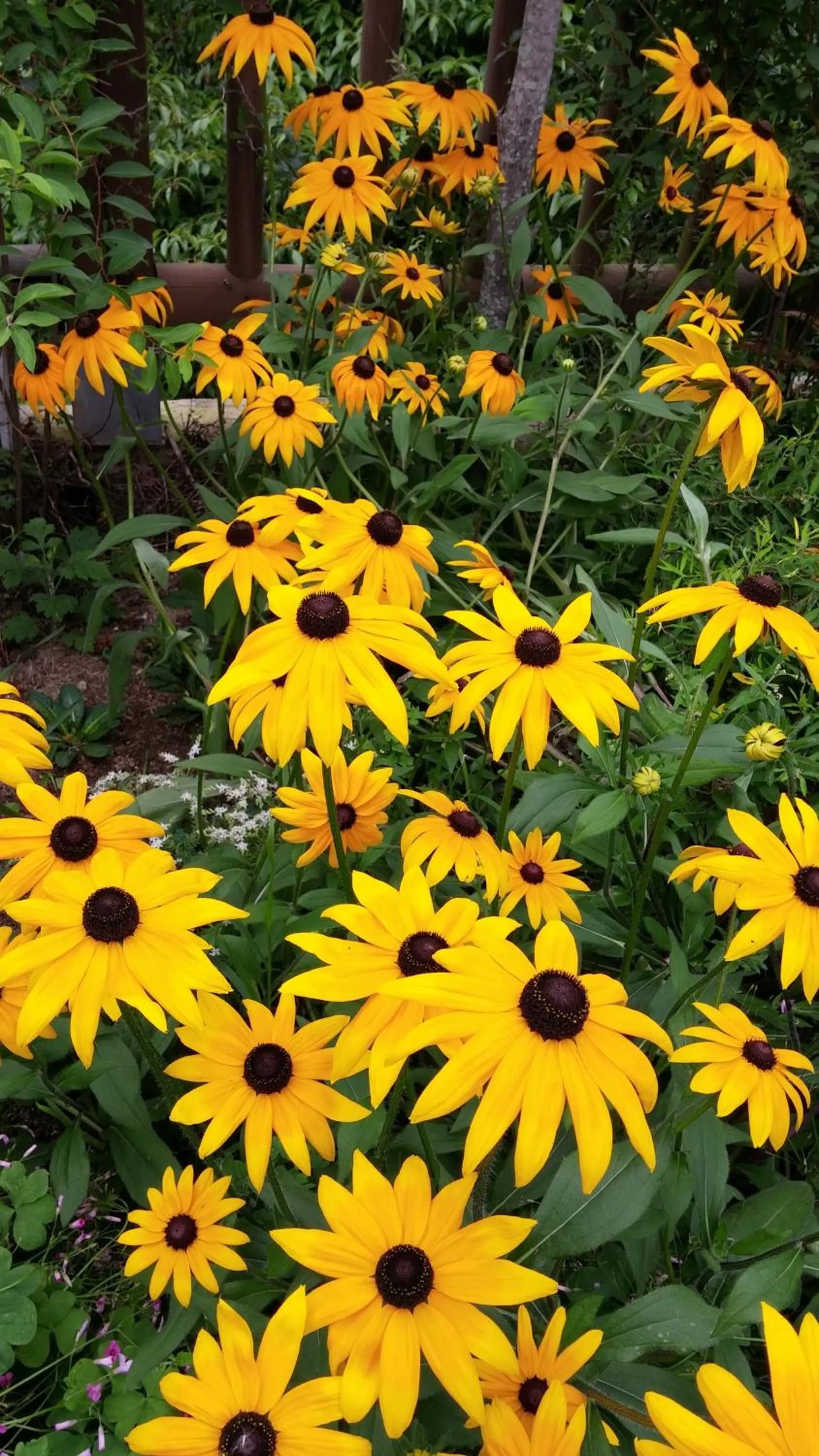 Spring in Namhae Neuhaus