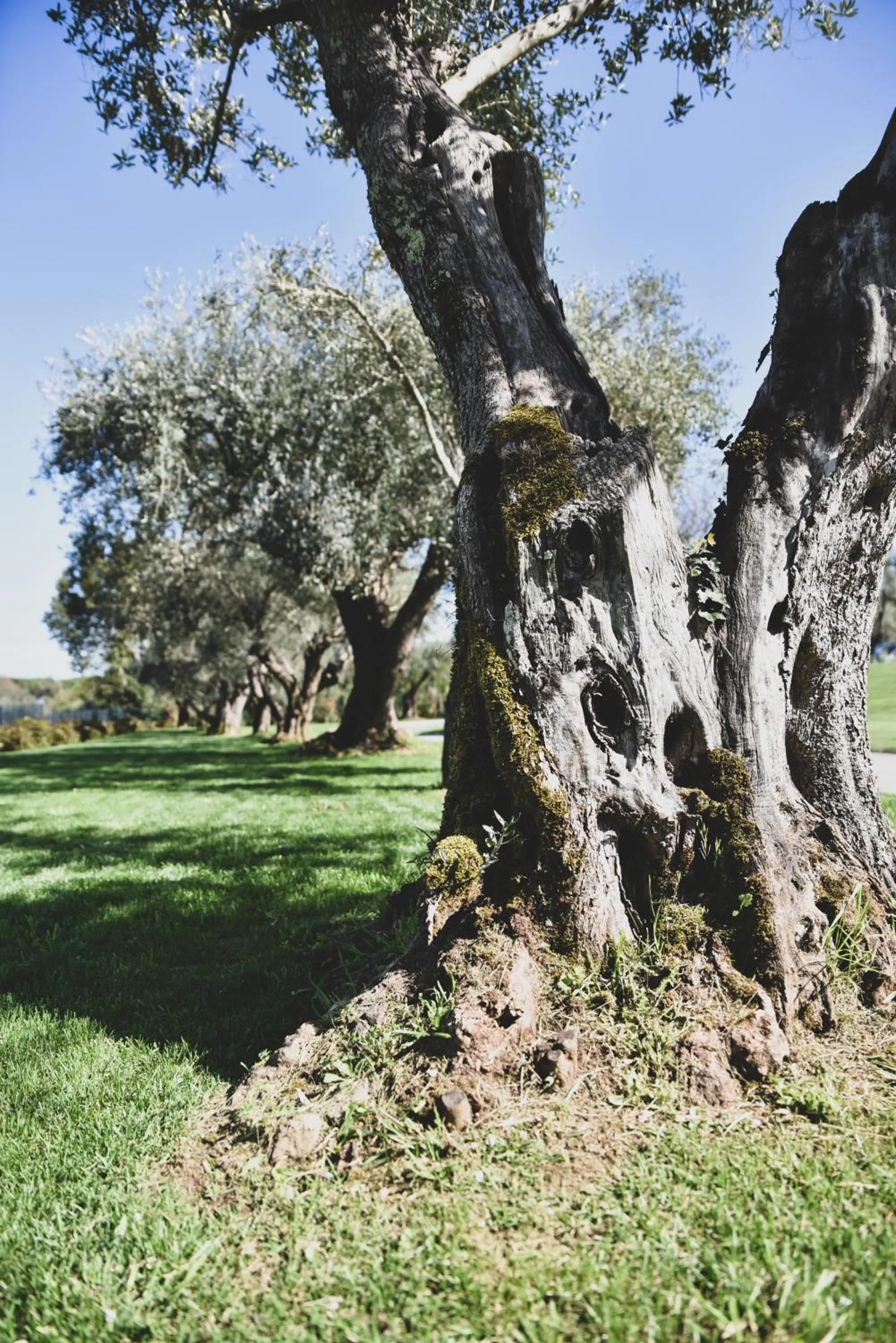 Natural landscape in Vigna Caio Relais & Spa