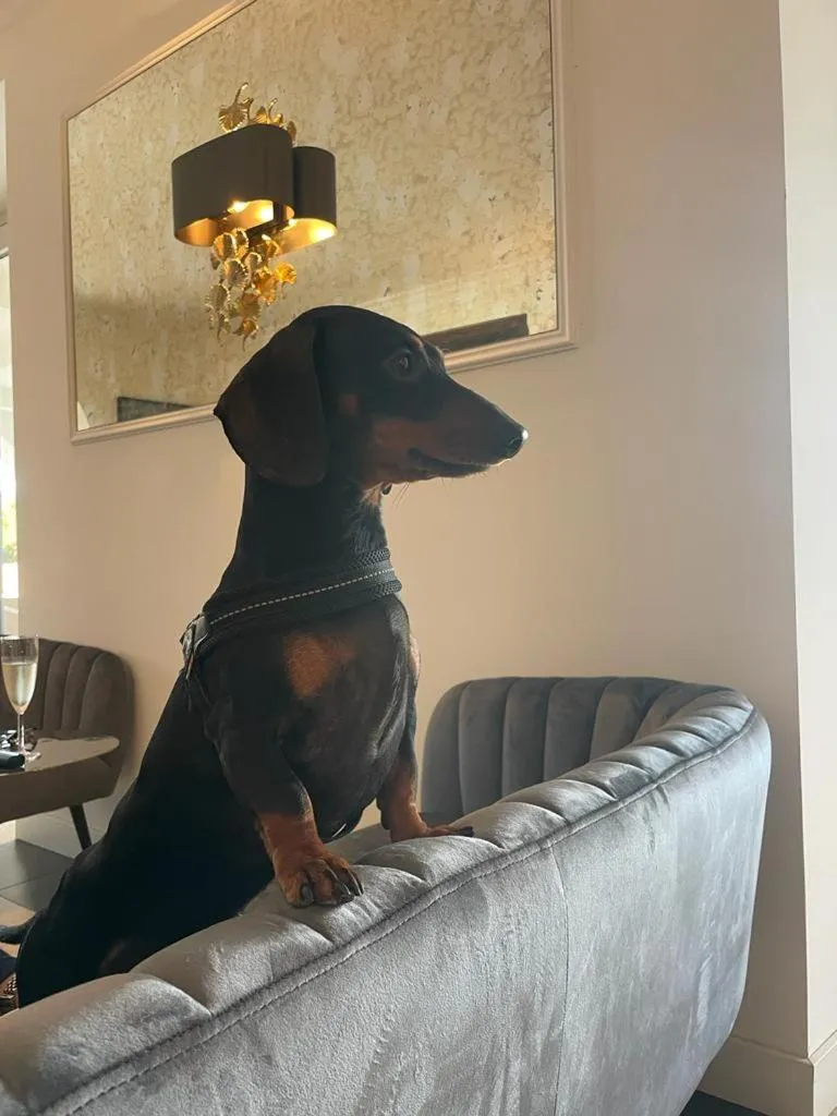 Animals in Vigna Caio Relais & Spa