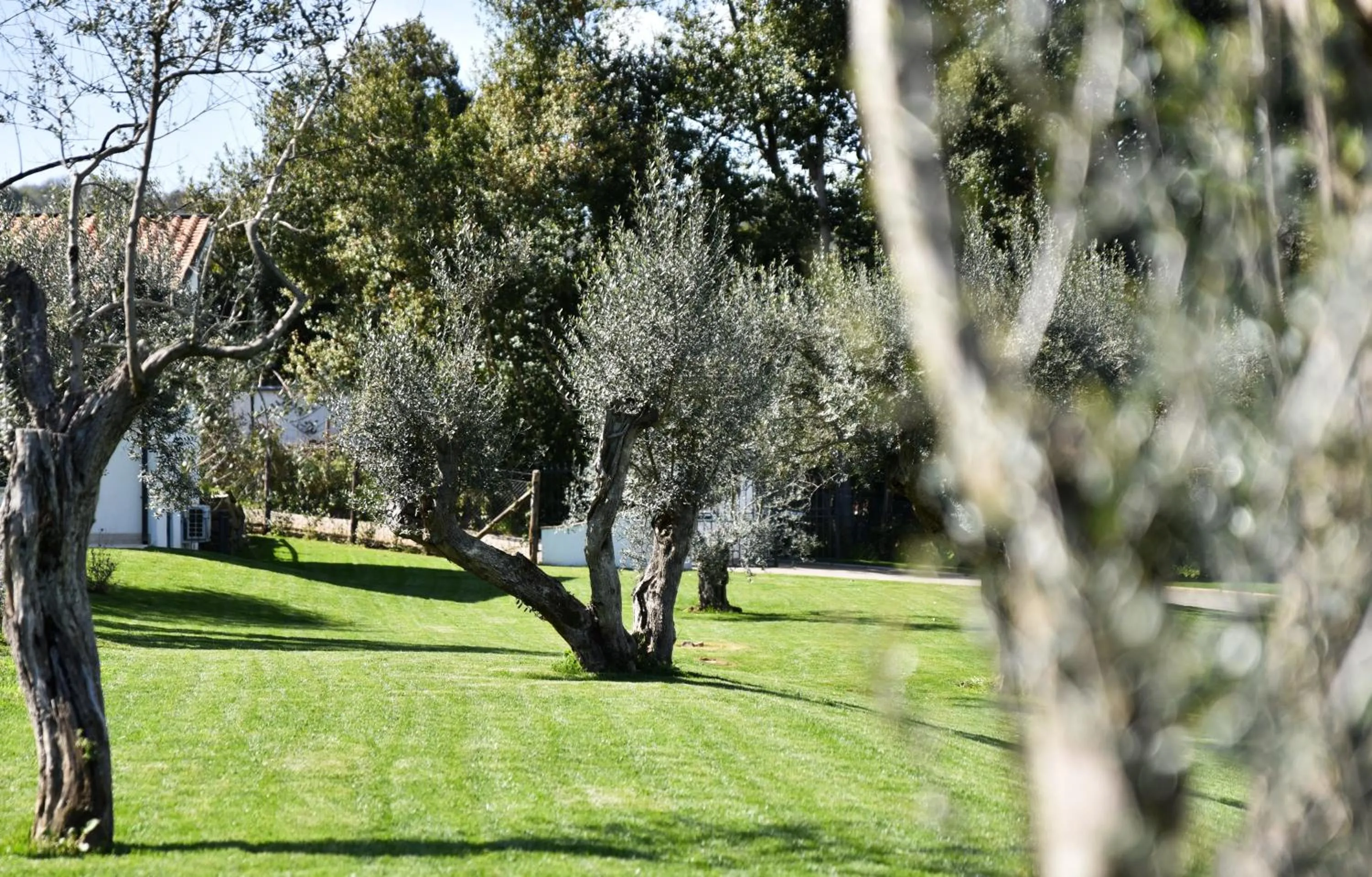 Natural landscape in Vigna Caio Relais & Spa
