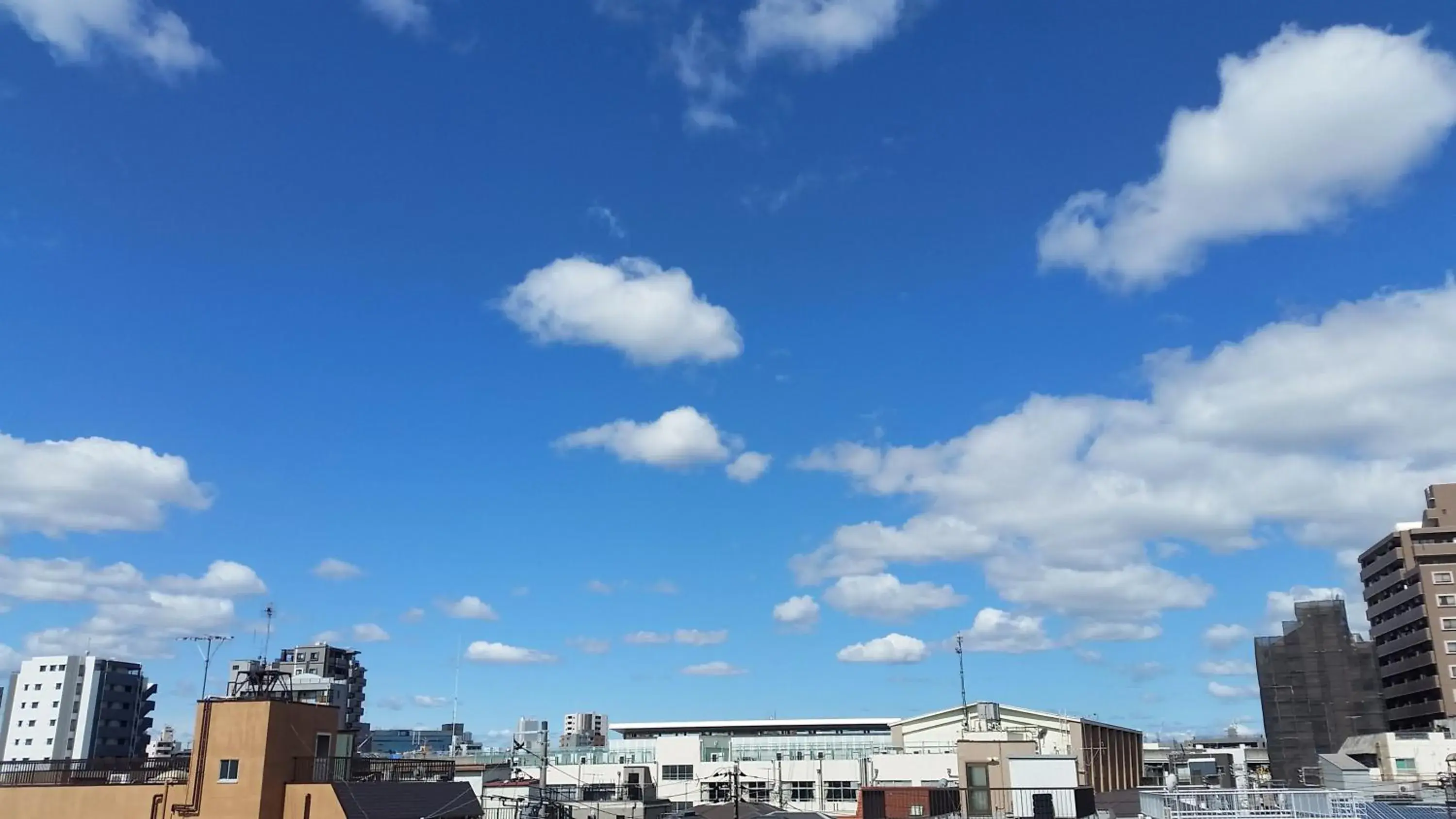 Tokyo Guest House 2020 Tokyo Guest House 2020