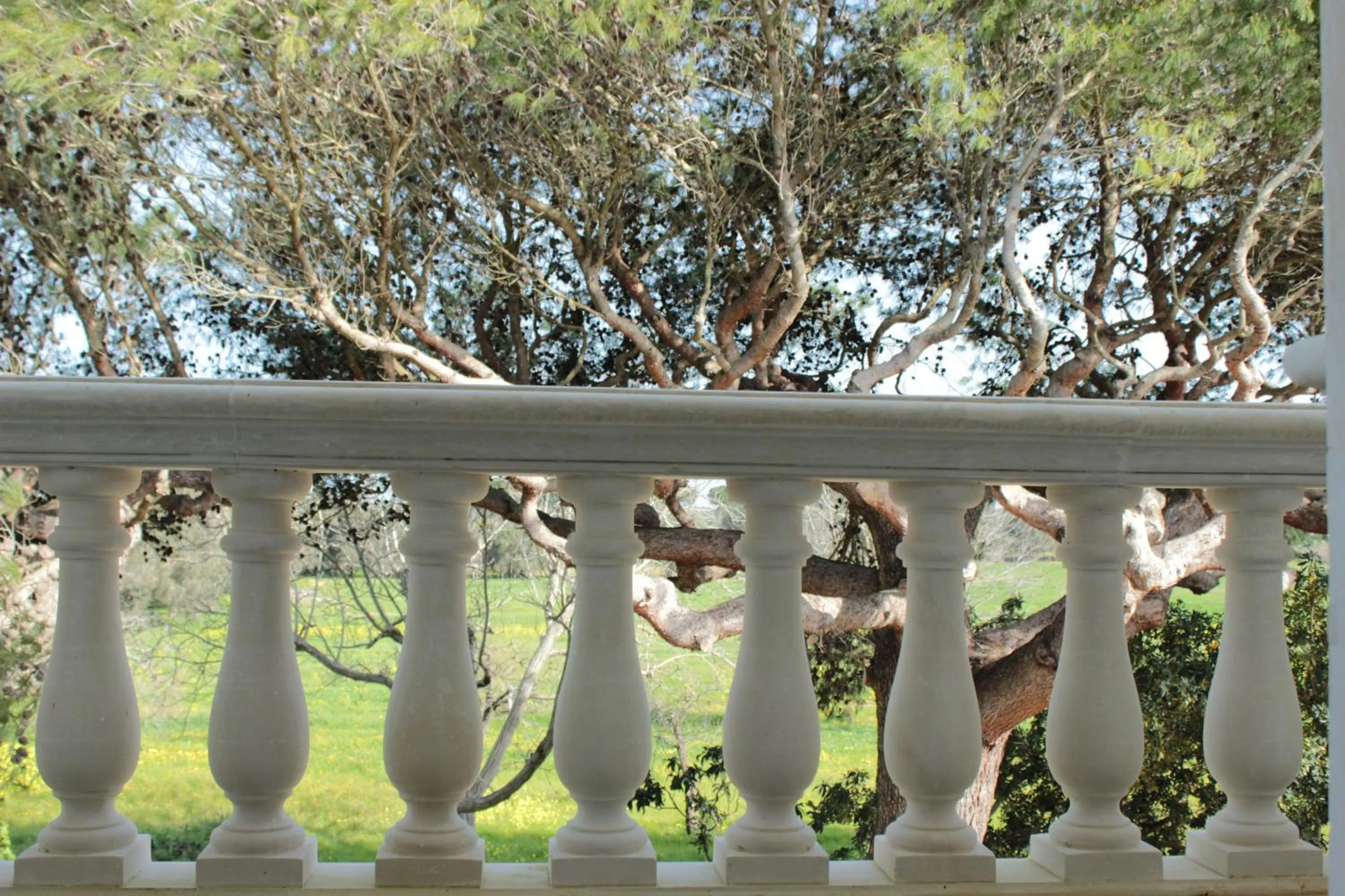 Garden view in Casina Bardoscia