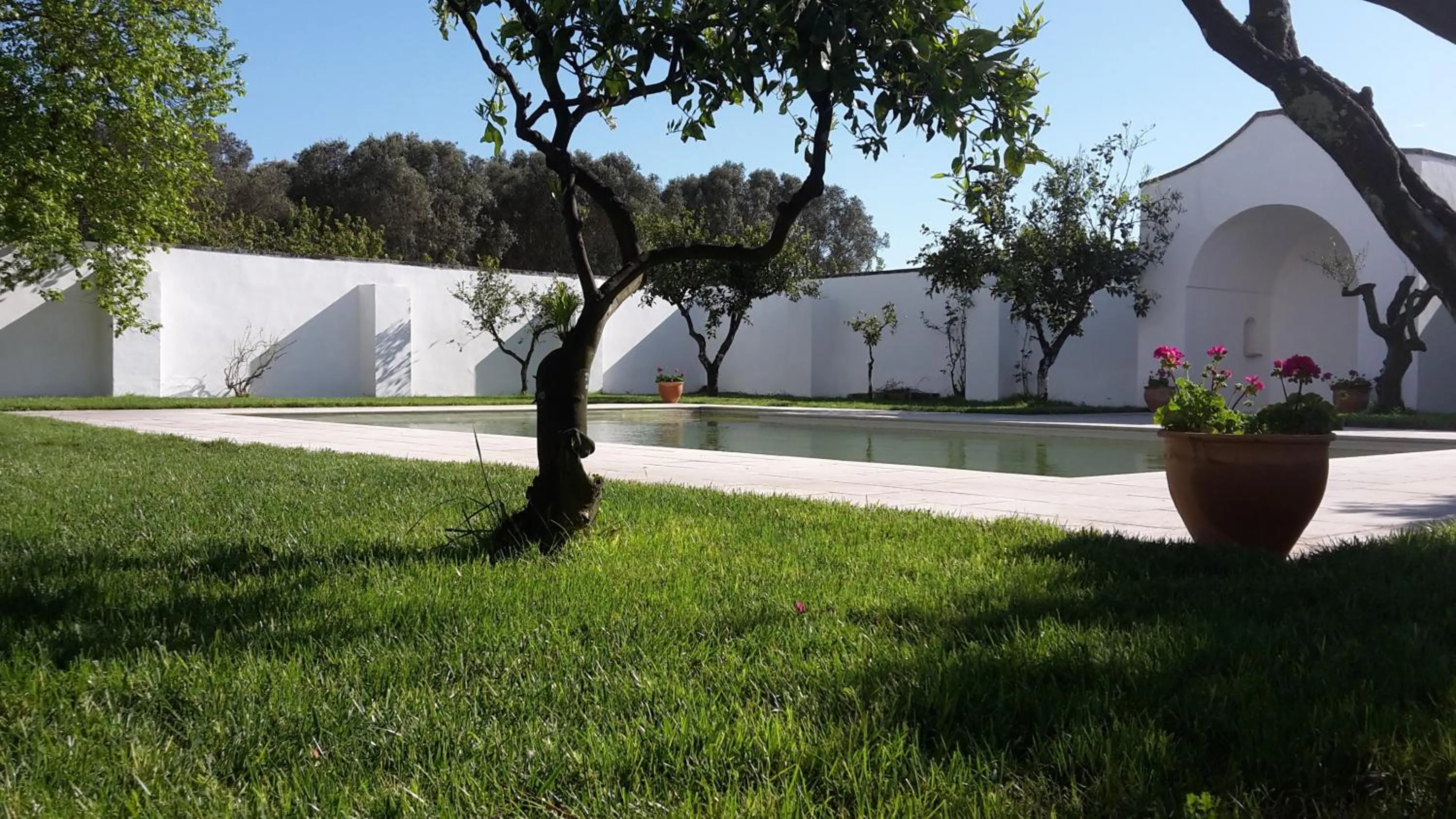 Garden in Casina Bardoscia