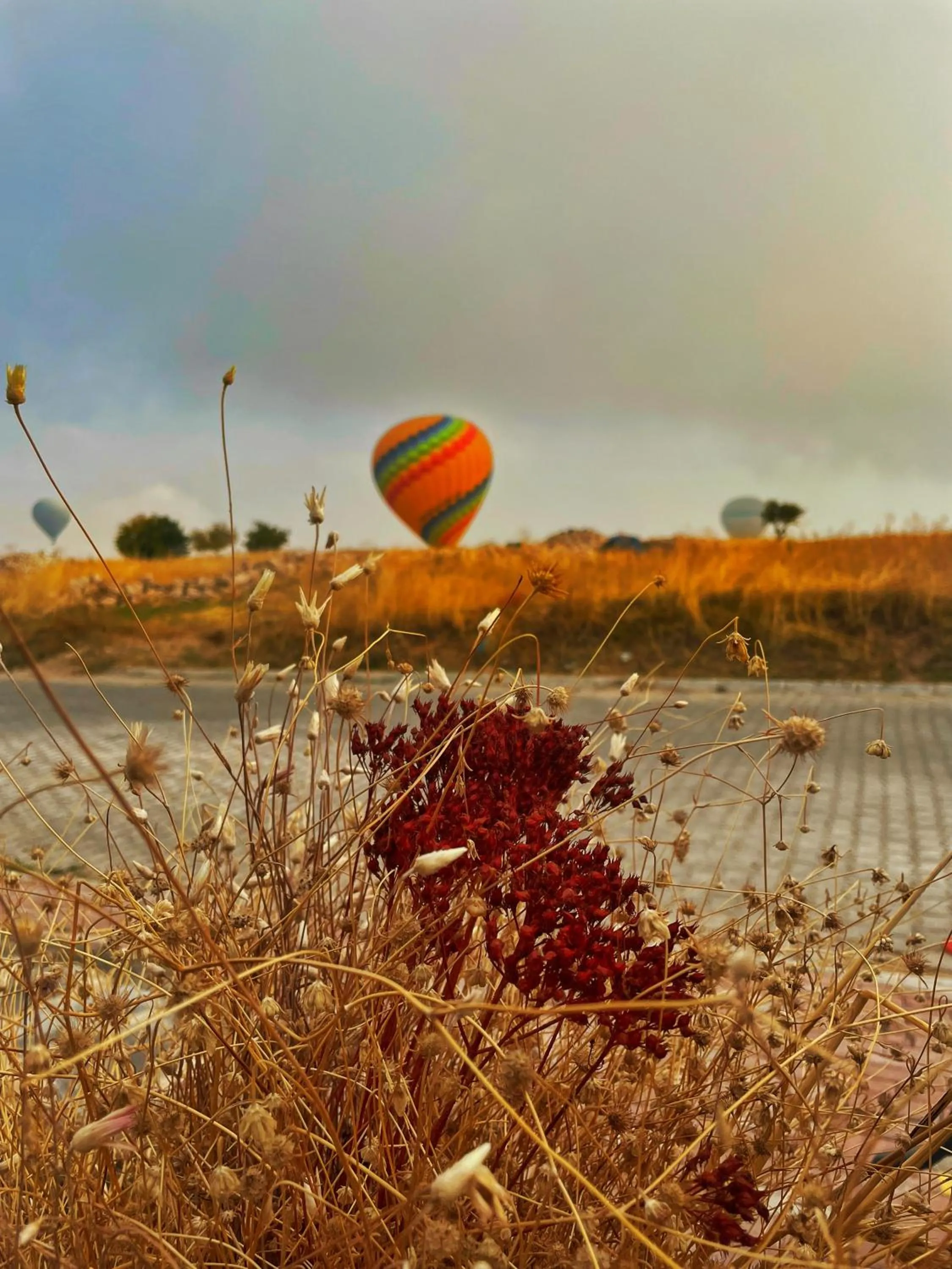 Natural landscape in Soleado Cappadocia Hotel