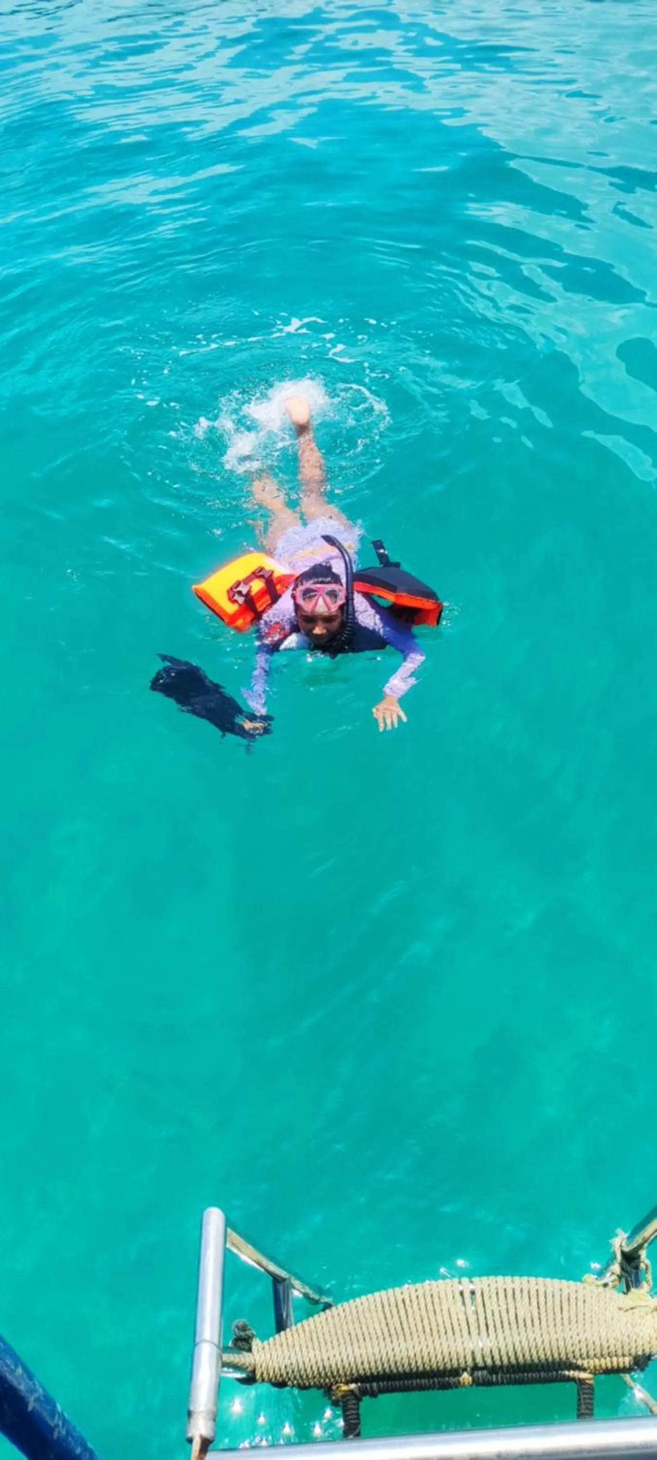 Diving in The Mermaid House