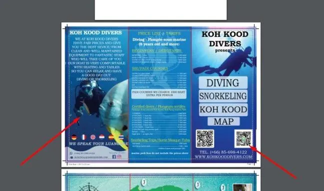 Diving in The Mermaid House