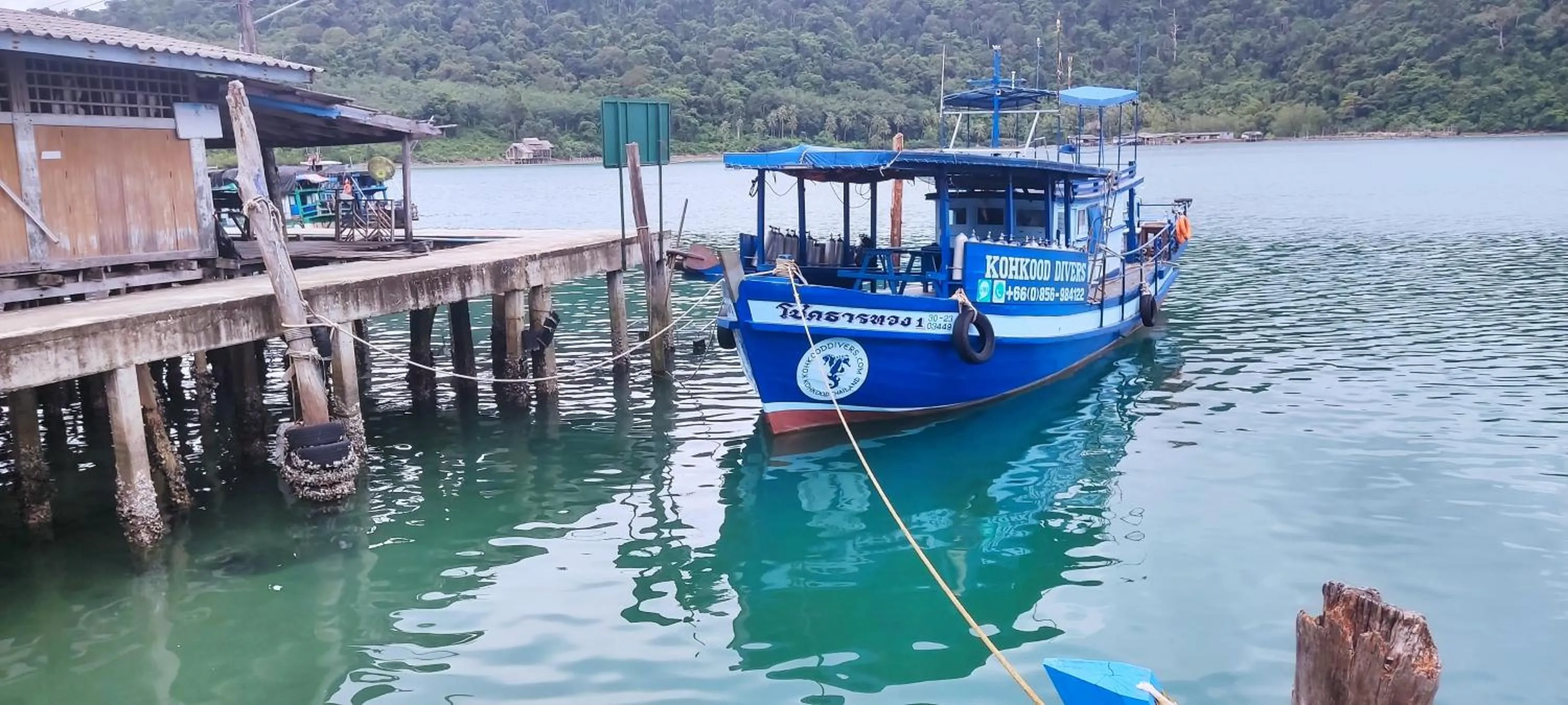 Diving in The Mermaid House