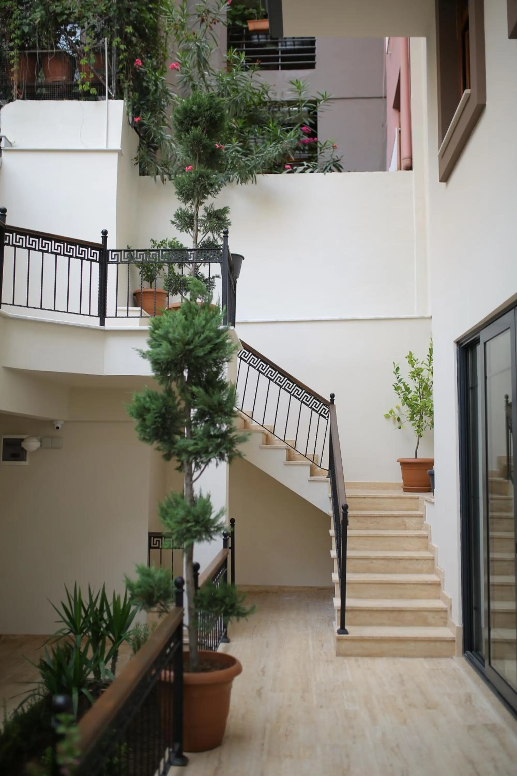 Garden in HaciBayramHotel