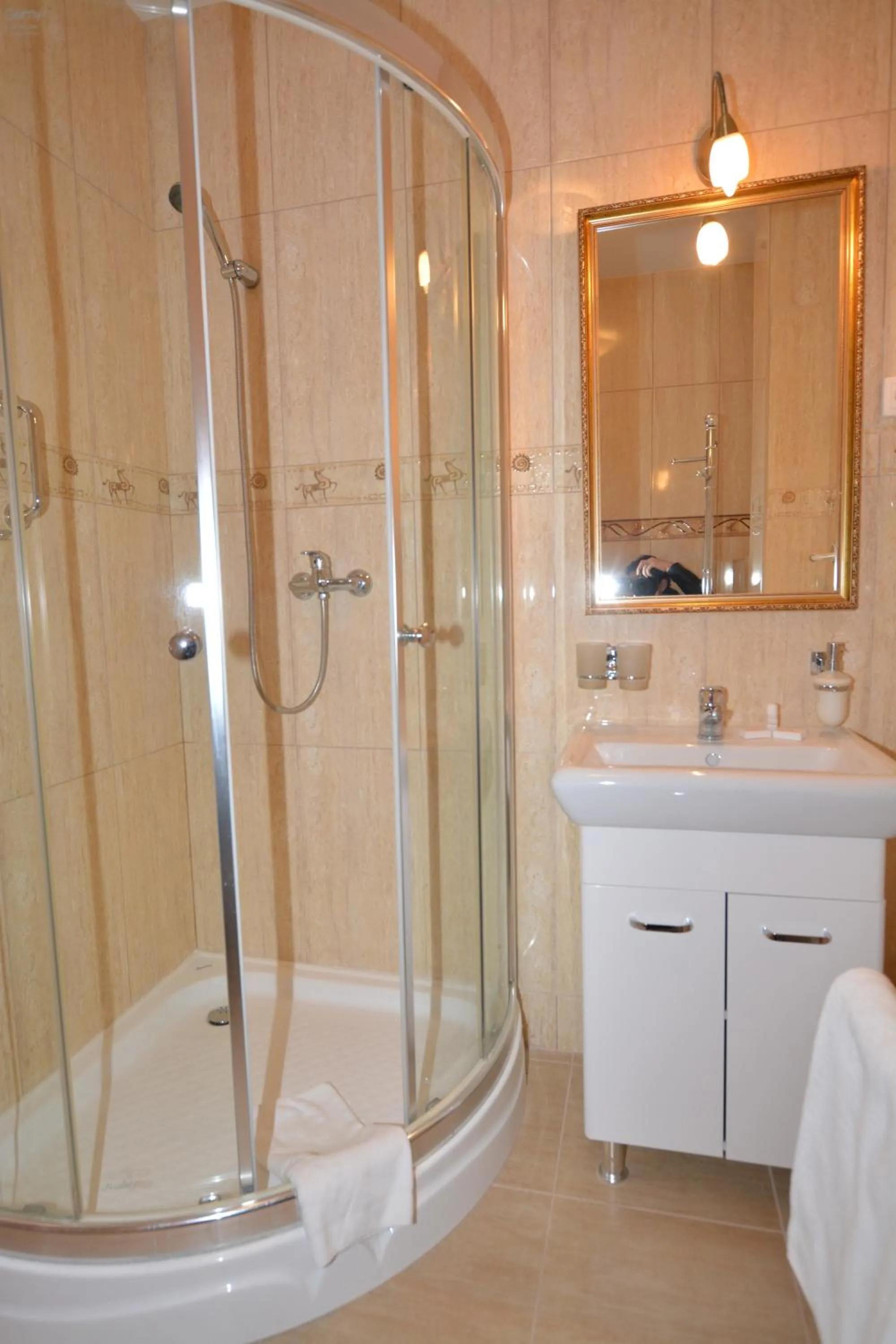 Shower in Hotel Gracja