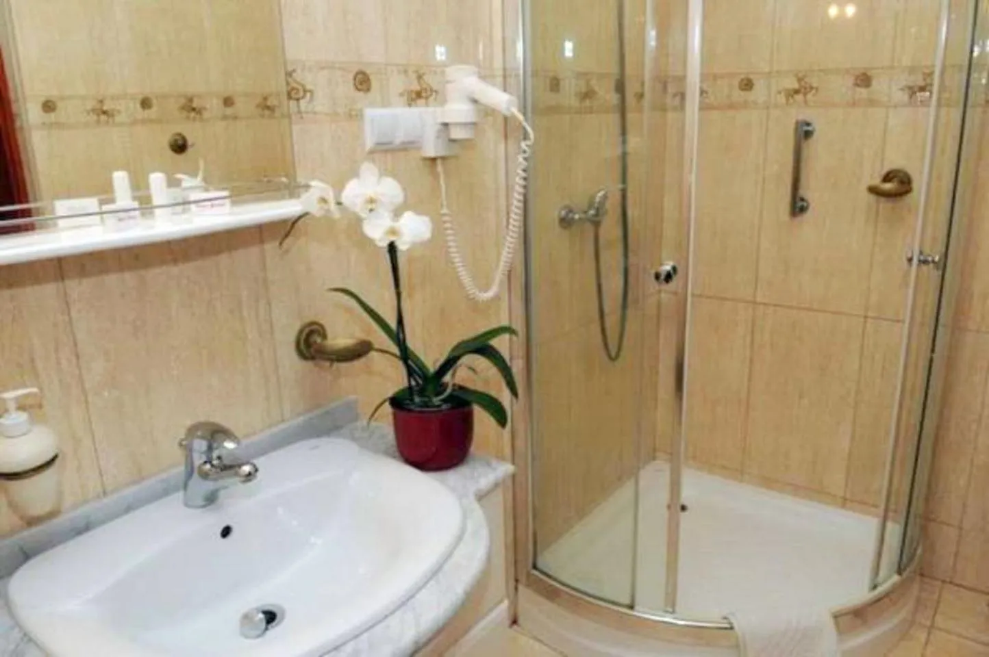 Shower in Hotel Gracja