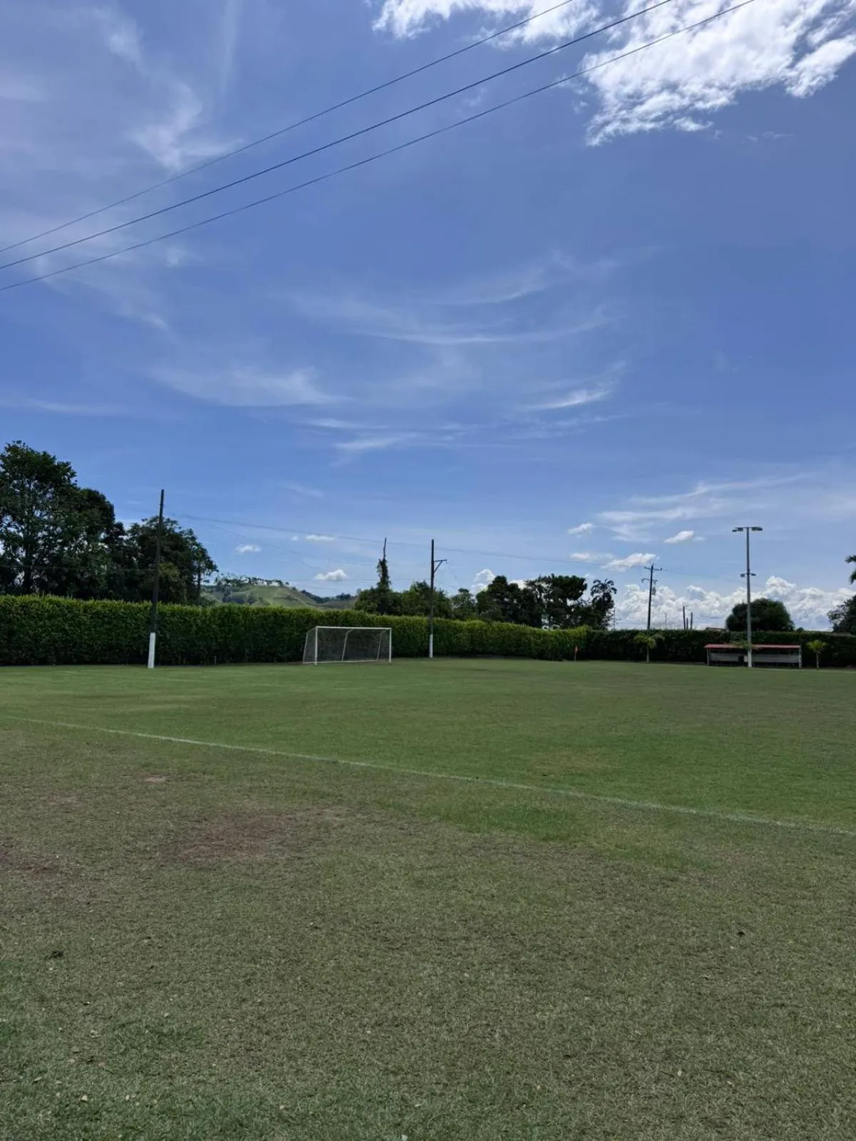 Day in Hotel Palo Grande CF Pereira