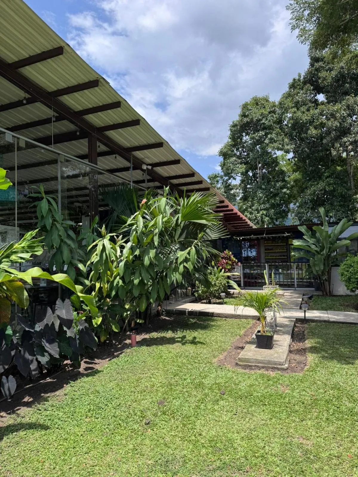 Patio in Hotel Palo Grande CF Pereira