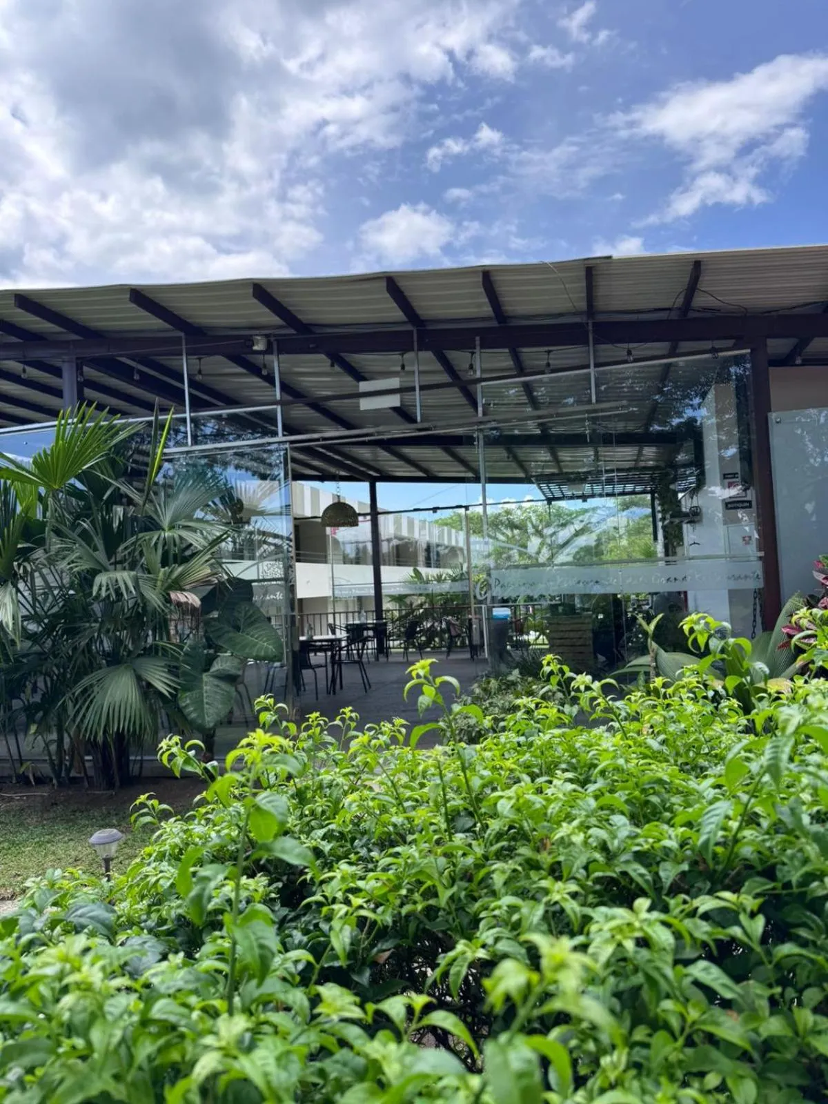 Spring in Hotel Palo Grande CF Pereira