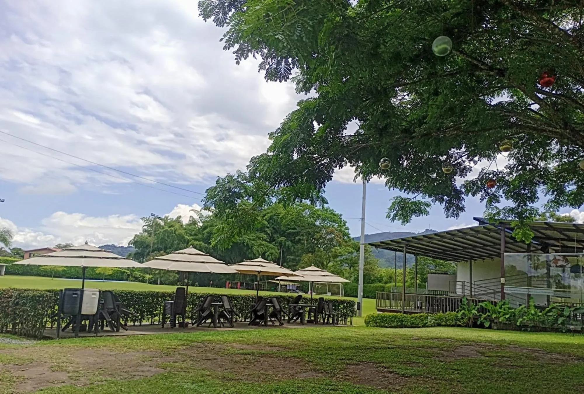 Spring in Hotel Palo Grande CF Pereira