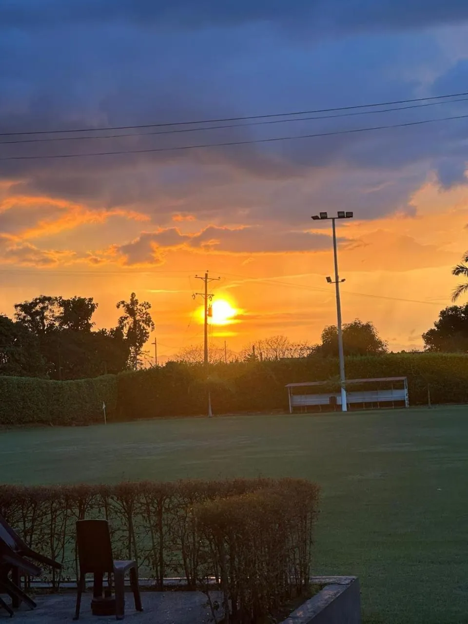 Entertainment in Hotel Palo Grande CF Pereira