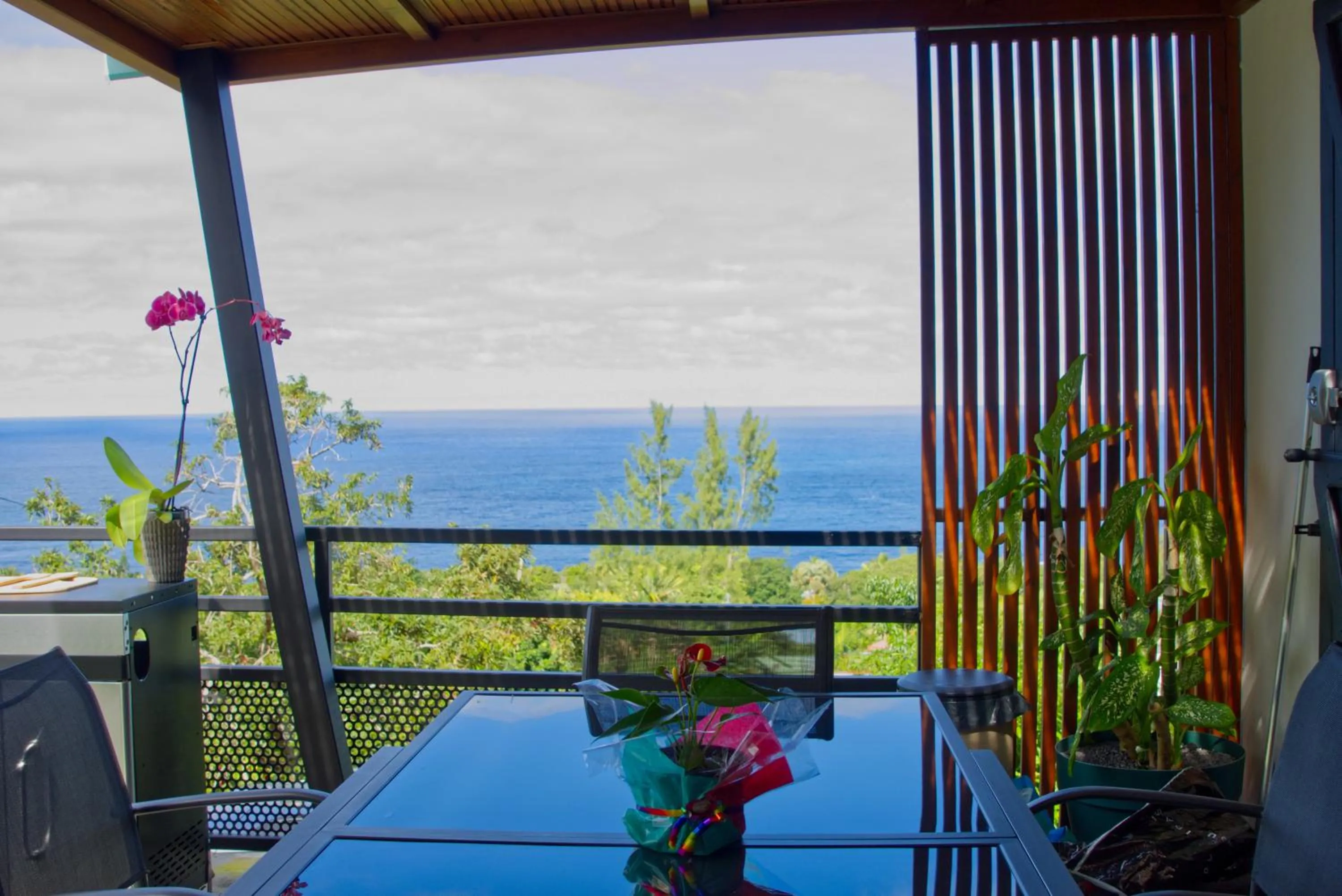 Natural landscape in Ka Hema - Maison entière avec Jacuzzi et vue sur mer