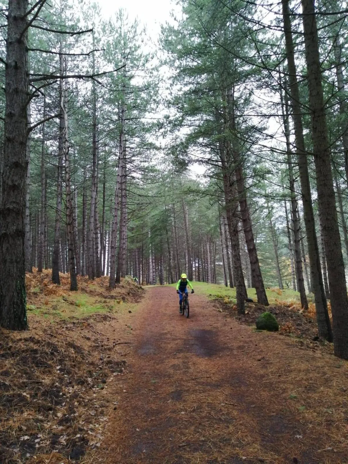 Hiking in Ai Tre Parchi Bed And Bike