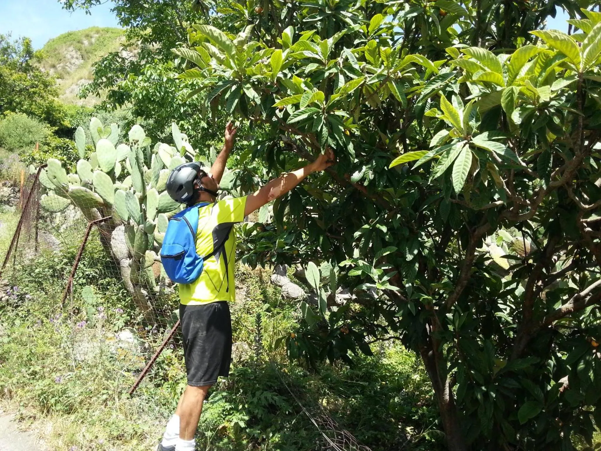 Hiking in Ai Tre Parchi Bed And Bike