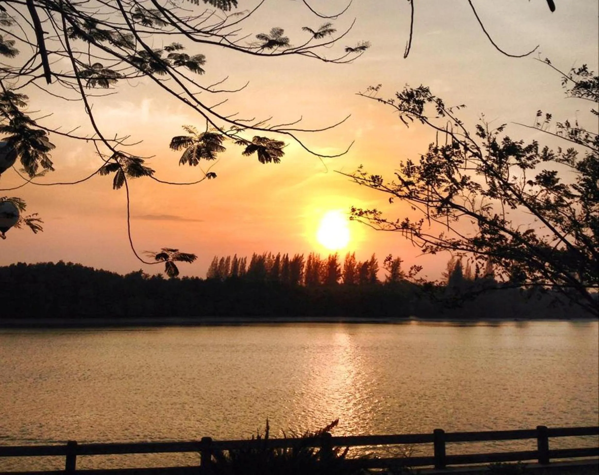 Natural landscape in Just Fine Krabi