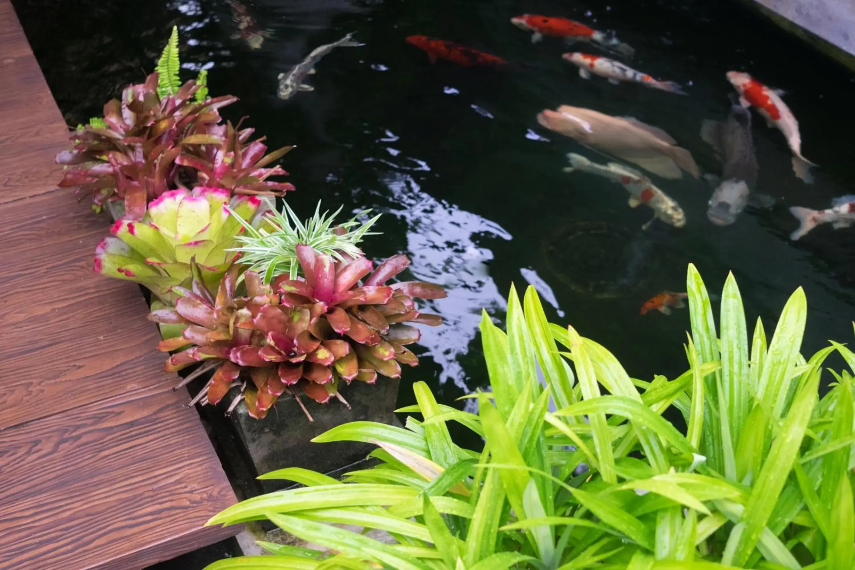 Garden in Just Fine Krabi Garden in Just Fine Krabi