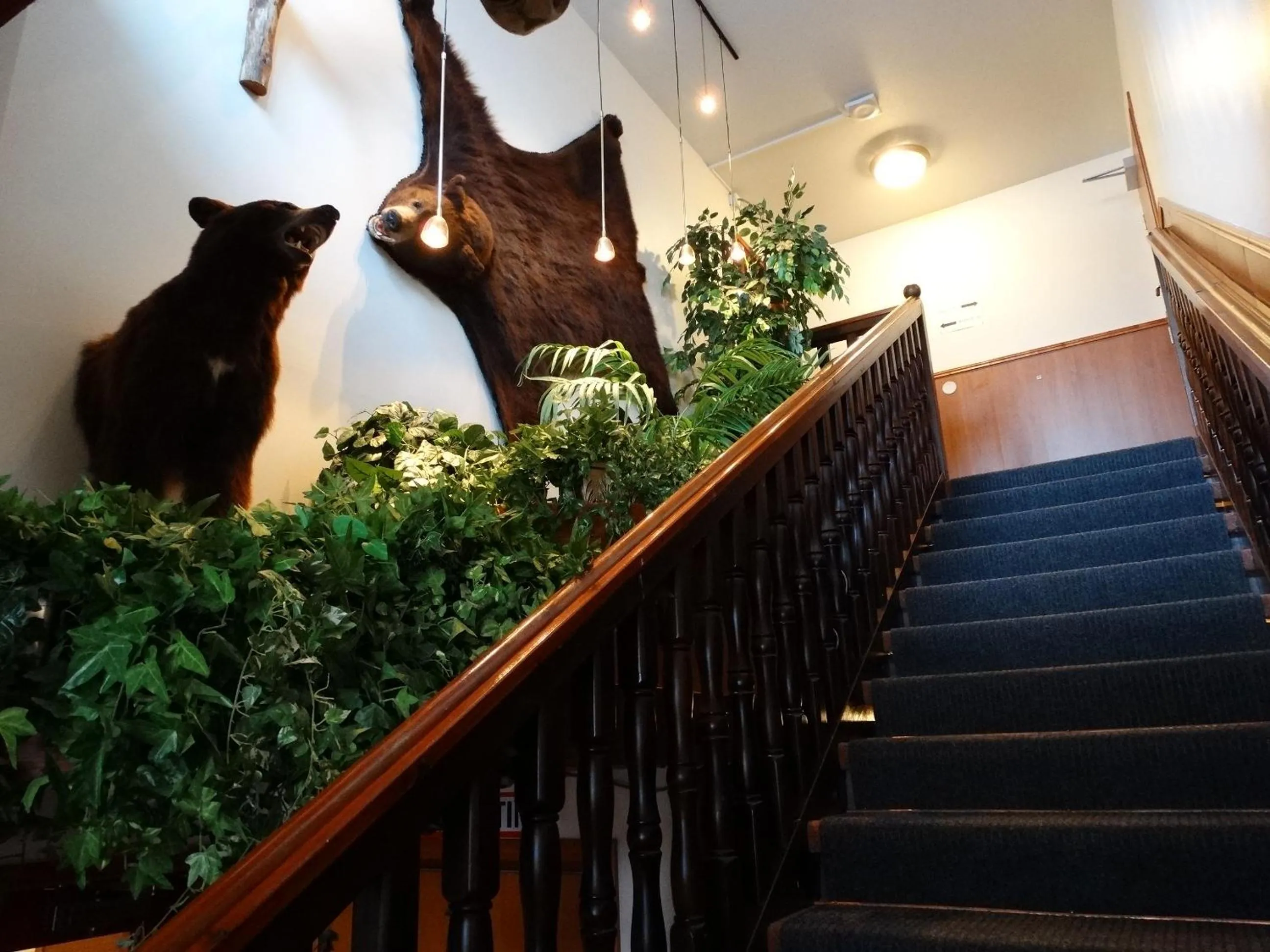 Botnia Hotel & Restaurant