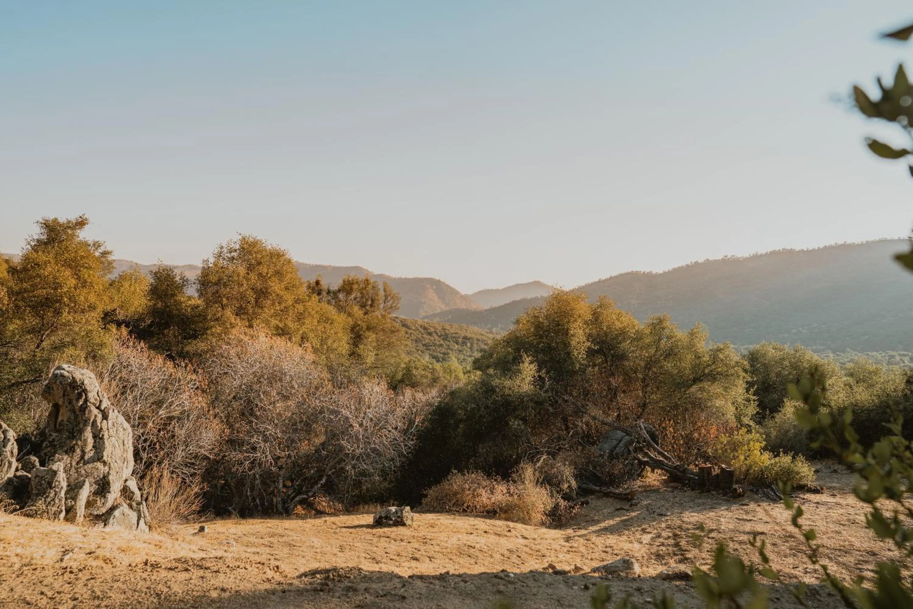 Day in Boho chic oasis by Casa Oso with pool, spa and views