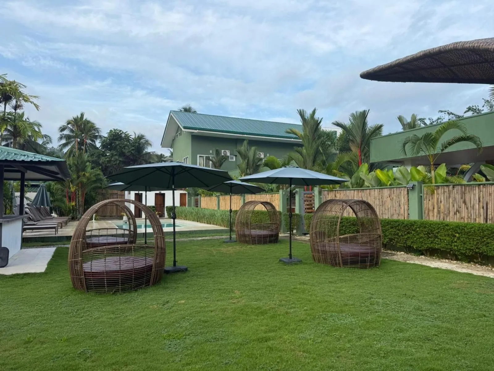 Garden in ROYAL SUITES - PORT BARTON