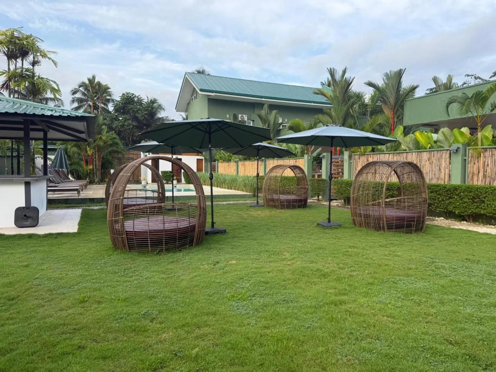 Garden in ROYAL SUITES - PORT BARTON