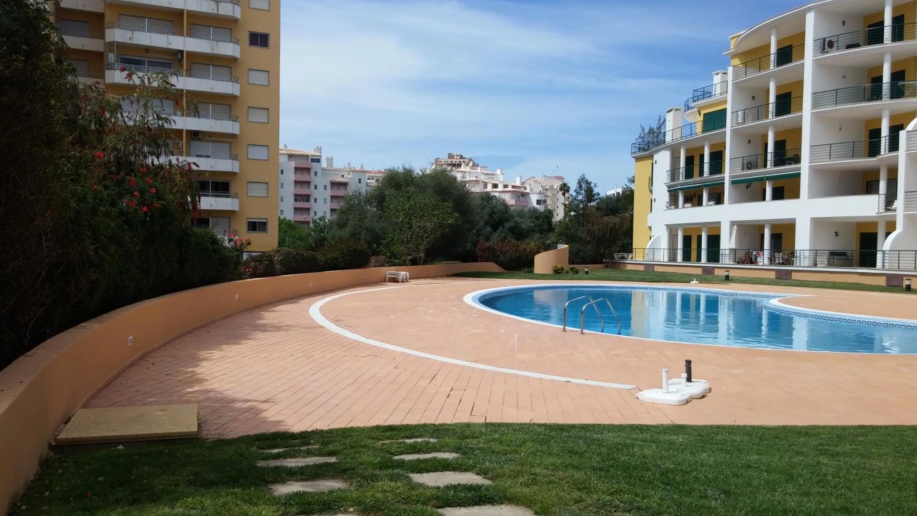 Garden in Primavera Sun