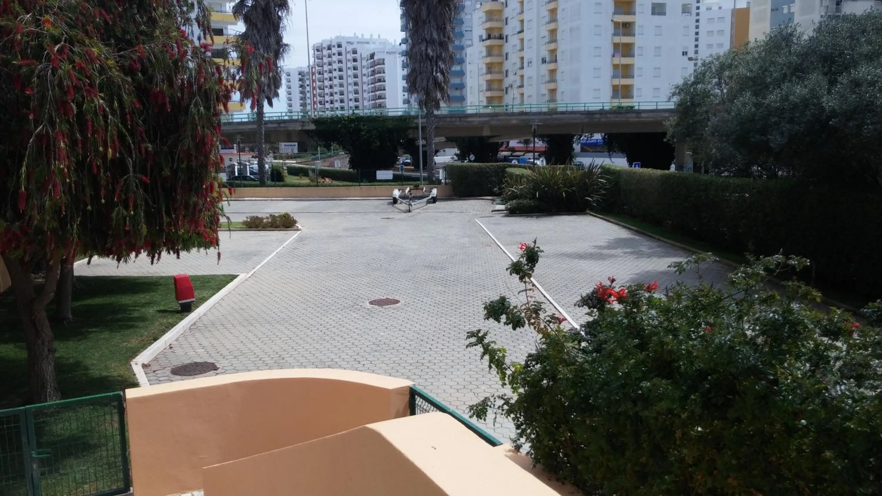 Garden in Primavera Sun
