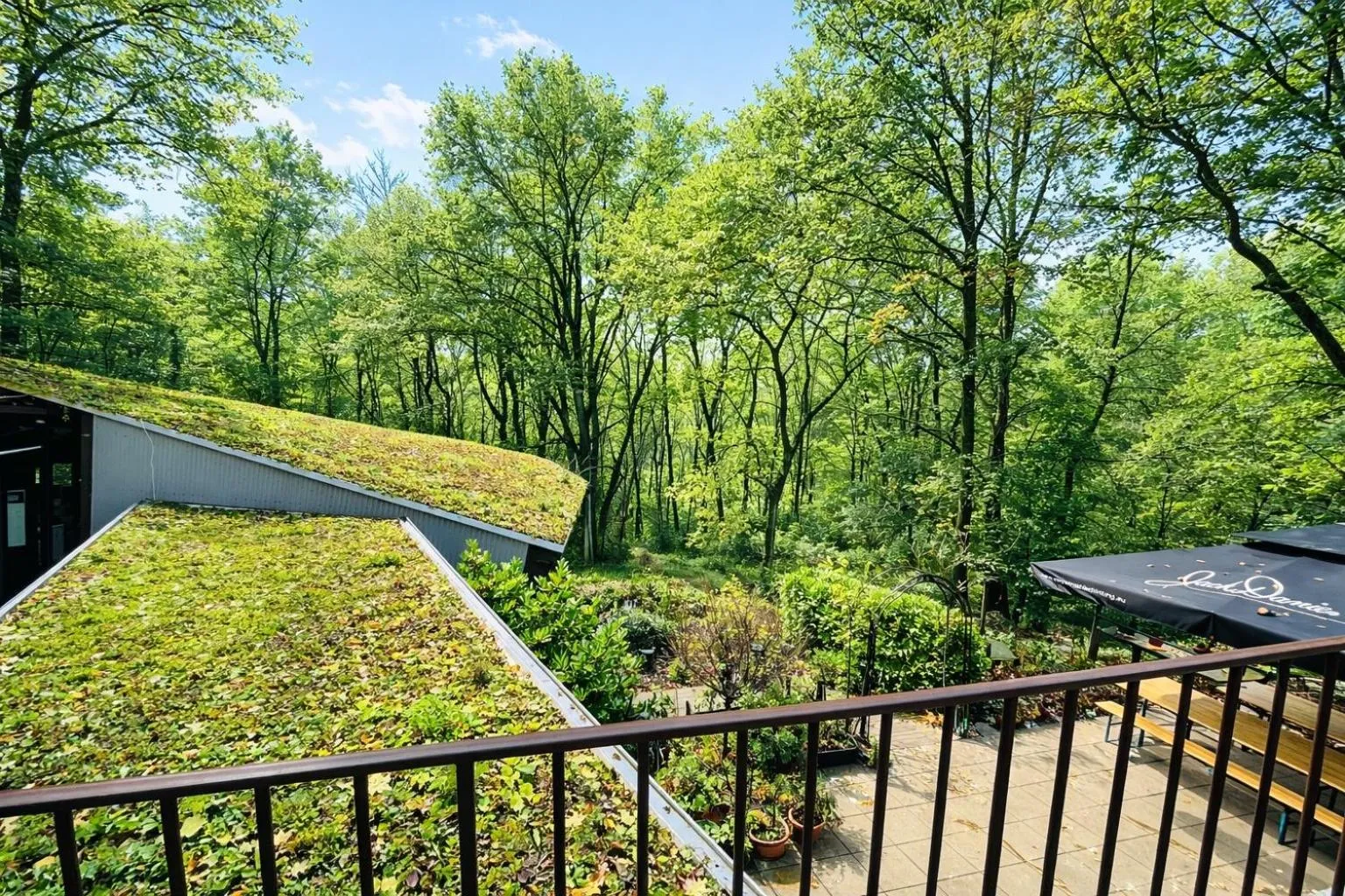 View (from property/room) in Silvio-Gesell-Tagungsstätte