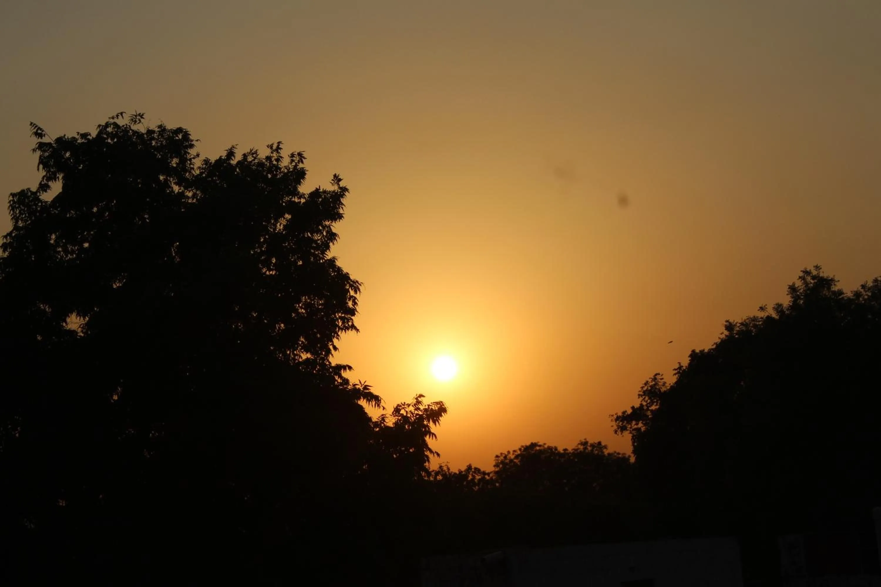 Day in Su- Koon Homestay