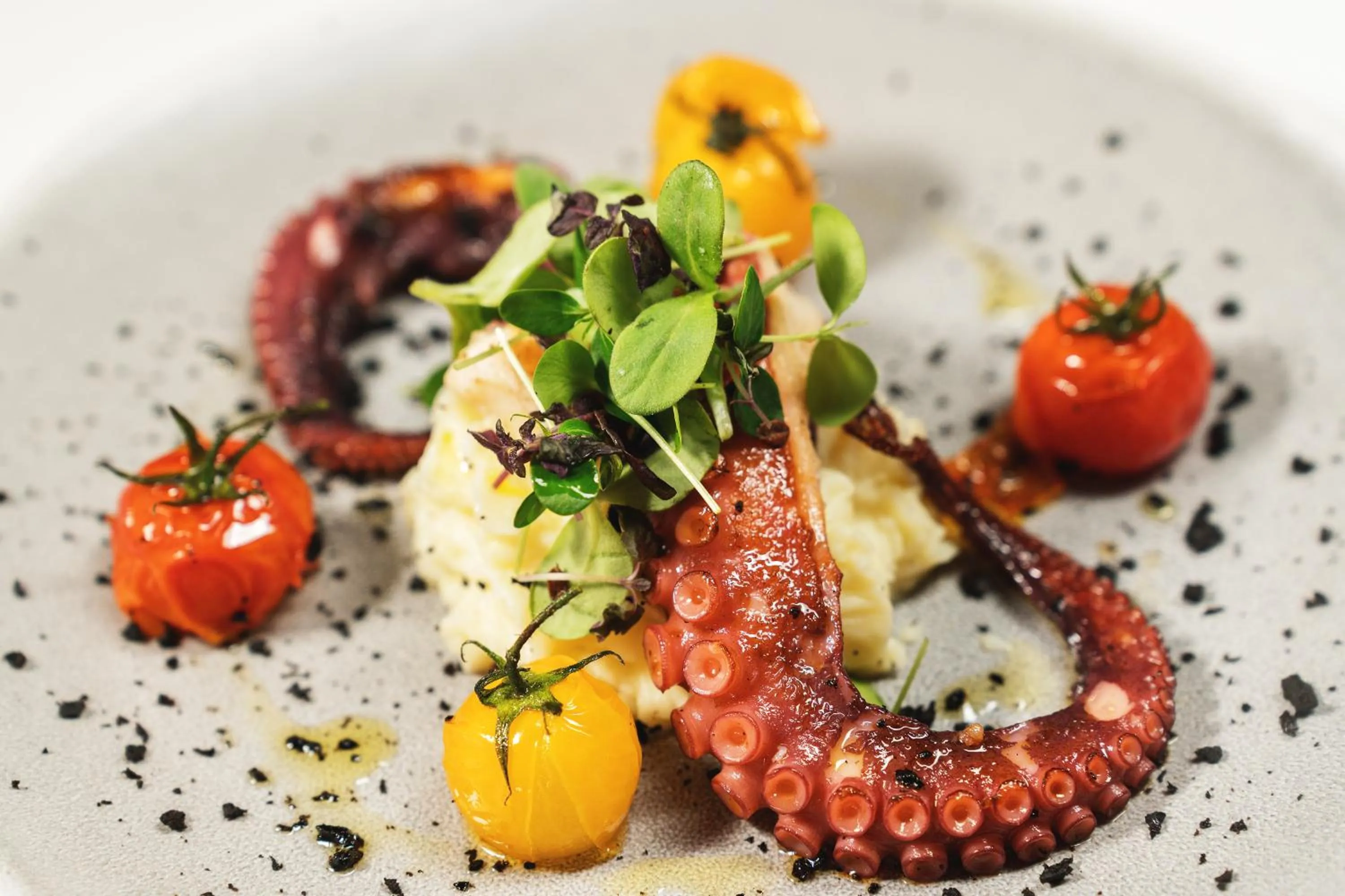 Food and drinks in Hotel dP Olbia - Sardinia