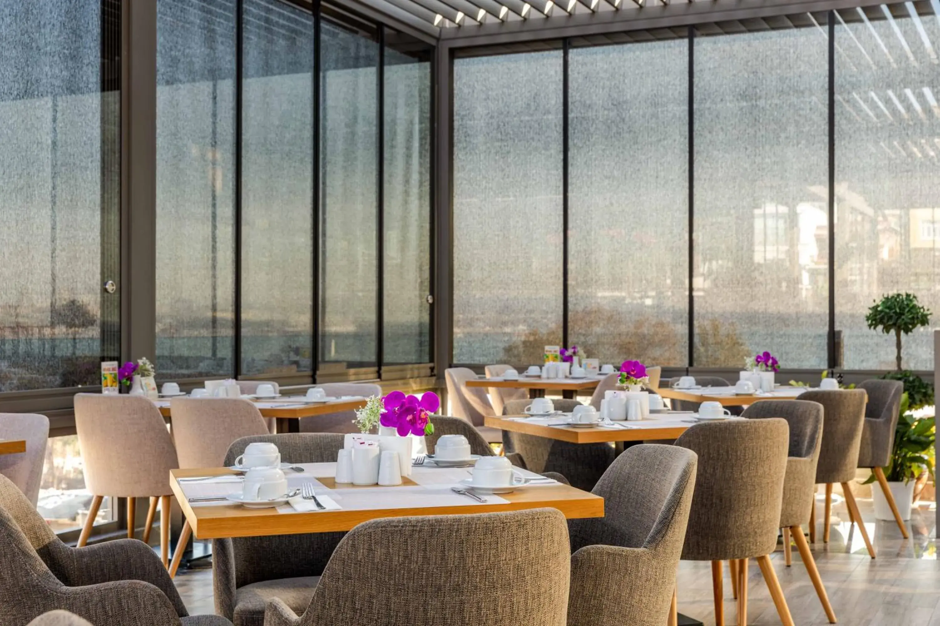 Restaurant/places to eat in Amiral Palace Hotel Boutique Class Restaurant/places to eat in Amiral Palace Hotel Boutique Class